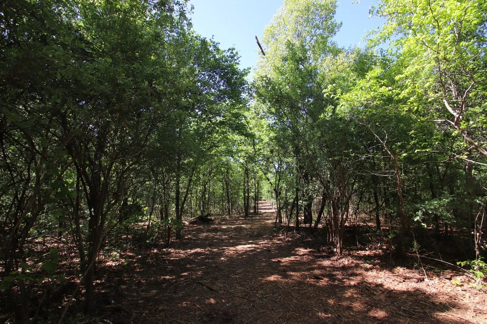 Unimproved Land For Sale in Wood County , TBD CR 4552, Winnsboro, Texas 75494, 0, 0, Garage spaces, 0 Sqft, built in 0, mls#21242821, Real Estate Agent in Winnsboro, Homes For Sale in Wood county, Homes For Sale in Winnsboro, Realtor in Winnsboro Texas, Real Estate Brokerage Independent Realty Texas, Luminita Cordes Realtor