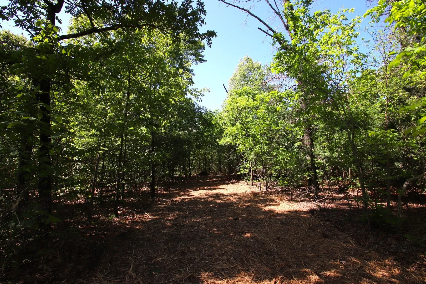 Unimproved Land For Sale in Wood County , TBD CR 4552, Winnsboro, Texas 75494, 0, 0, Garage spaces, 0 Sqft, built in 0, mls#21242821, Real Estate Agent in Winnsboro, Homes For Sale in Wood county, Homes For Sale in Winnsboro, Realtor in Winnsboro Texas, Real Estate Brokerage Independent Realty Texas, Luminita Cordes Realtor