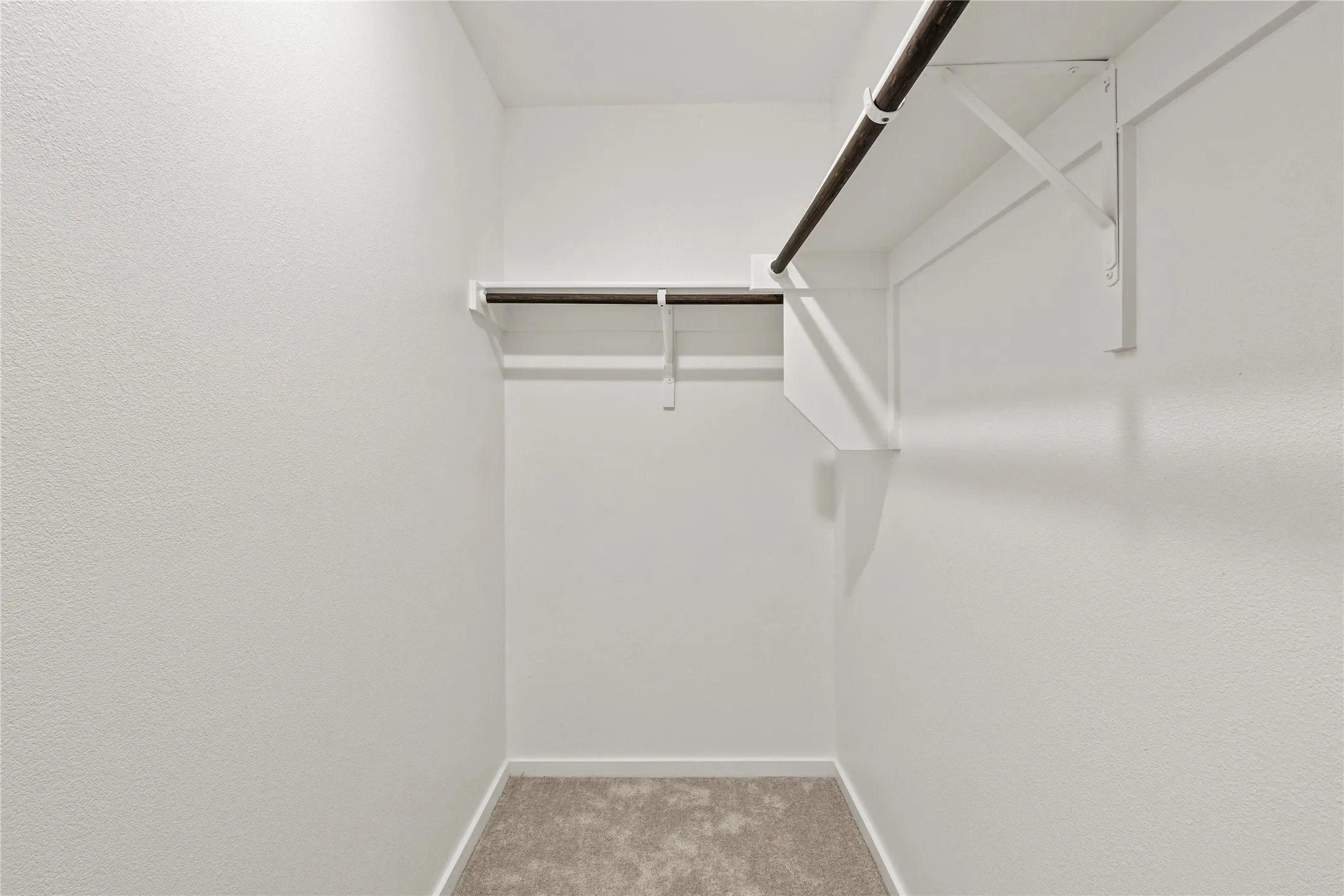 Walk-in closet featuring light grey carpet flooring, white painted walls, and built-in shelving with hanging rods