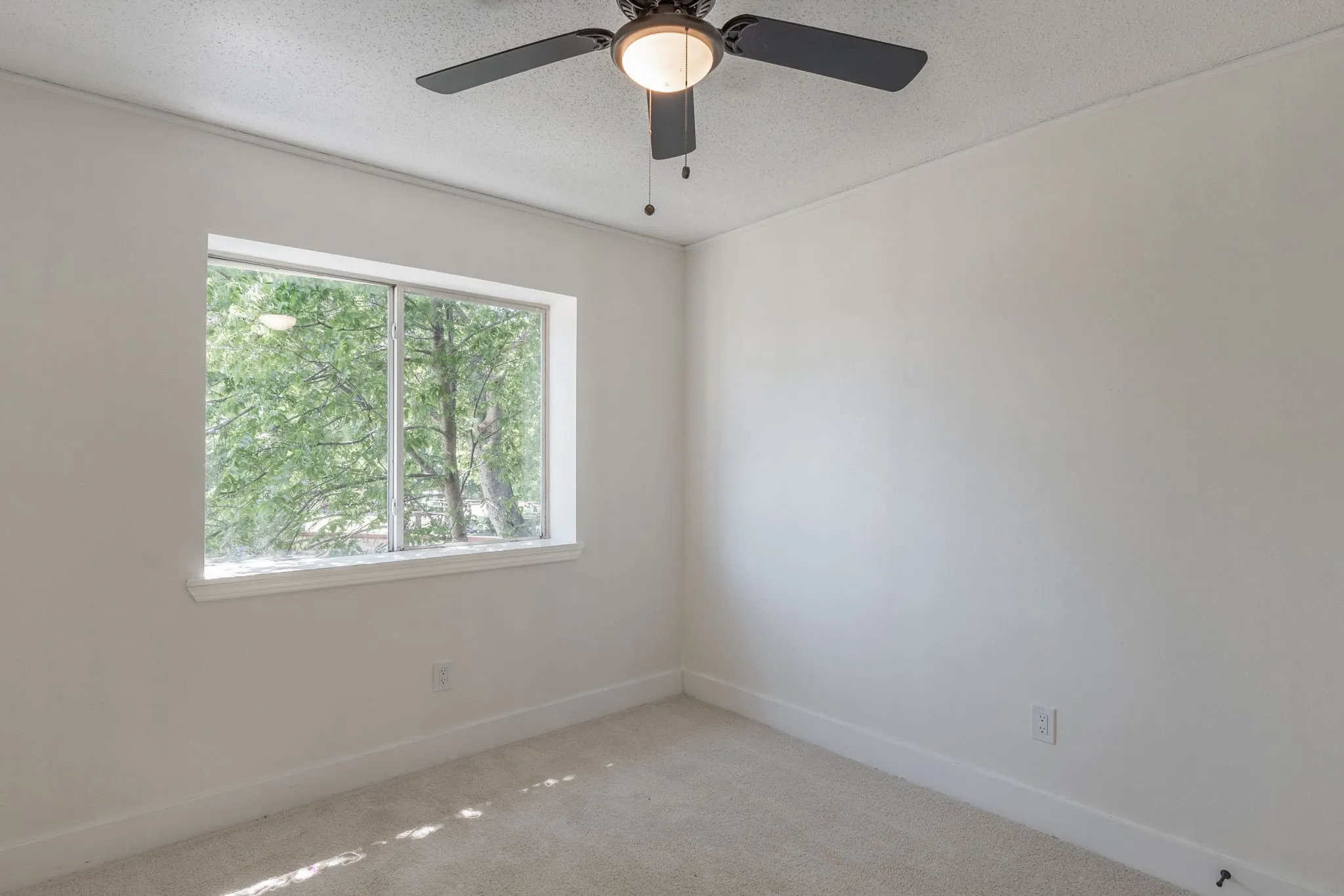 Bright room featuring a large window, neutral wall paint, and light-colored carpeting
