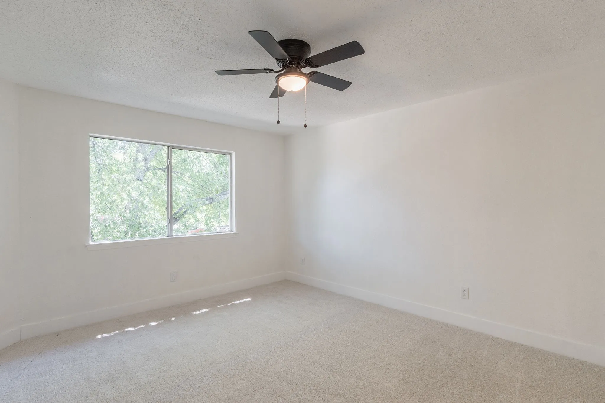 Carpeted room with a ceiling fan and a dual-pane window