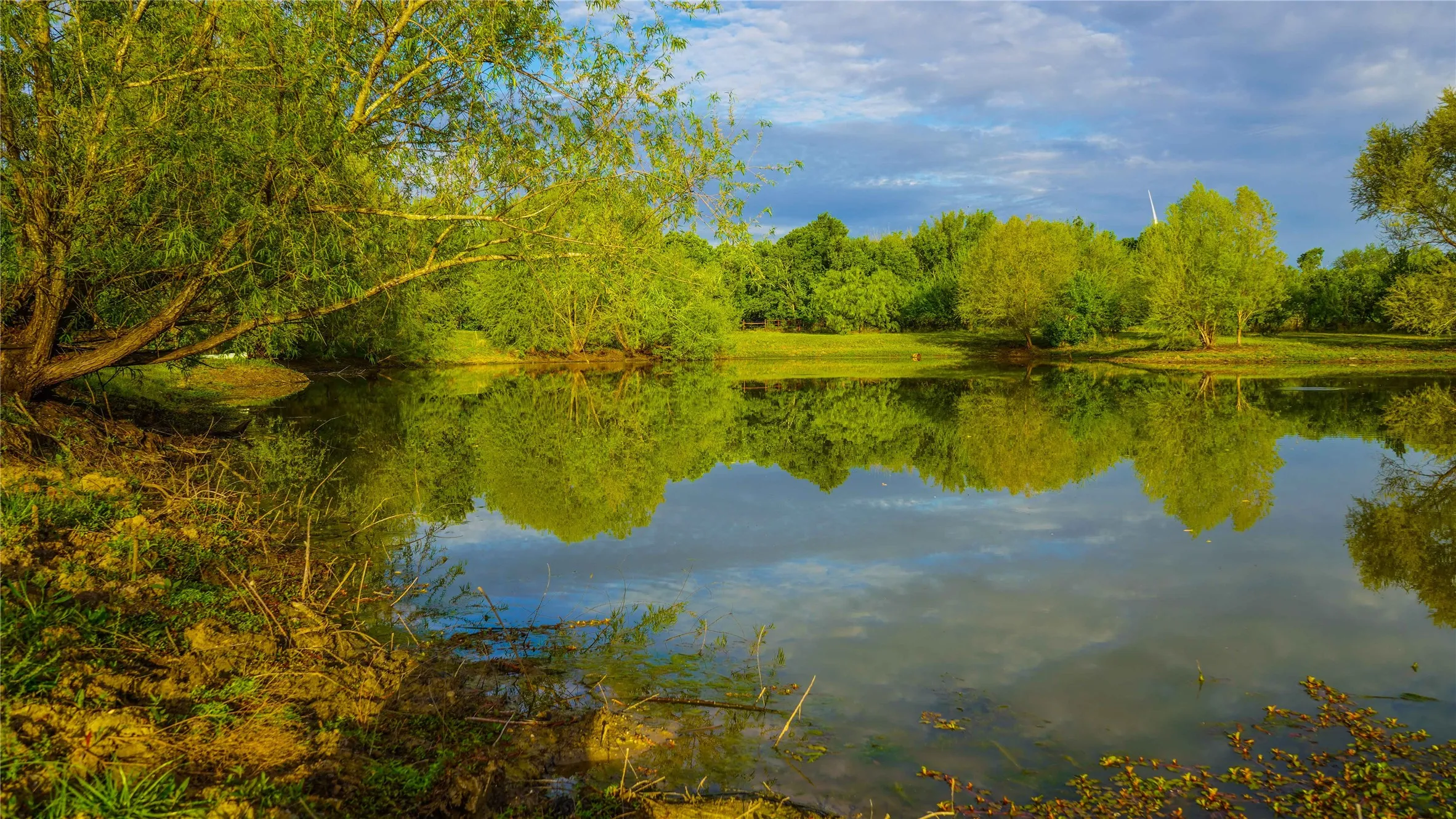 Unimproved Land For Sale in Hill County , 148 Hcr 3341, Hubbard, Texas 76648, 0, 0, Garage spaces, 0 Sqft, built in 2009, mls#21249561, Real Estate Agent in Hubbard, Homes For Sale in Hill county, Homes For Sale in Hubbard, Realtor in Hubbard Texas, Real Estate Brokerage Independent Realty Texas, Luminita Cordes Realtor