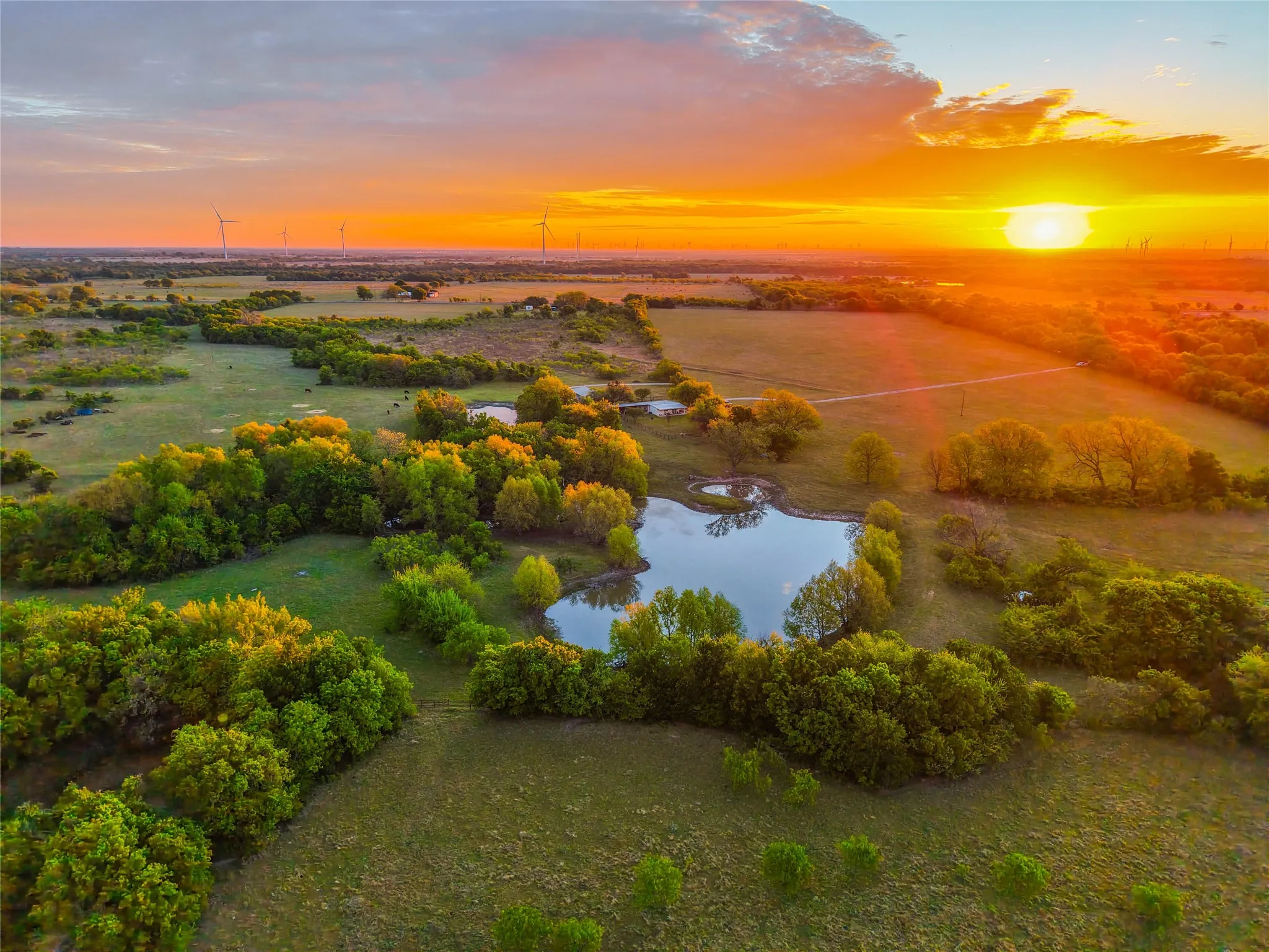 Unimproved Land For Sale in Hill County , 148 Hcr 3341, Hubbard, Texas 76648, 0, 0, Garage spaces, 0 Sqft, built in 2009, mls#21249561, Real Estate Agent in Hubbard, Homes For Sale in Hill county, Homes For Sale in Hubbard, Realtor in Hubbard Texas, Real Estate Brokerage Independent Realty Texas, Luminita Cordes Realtor