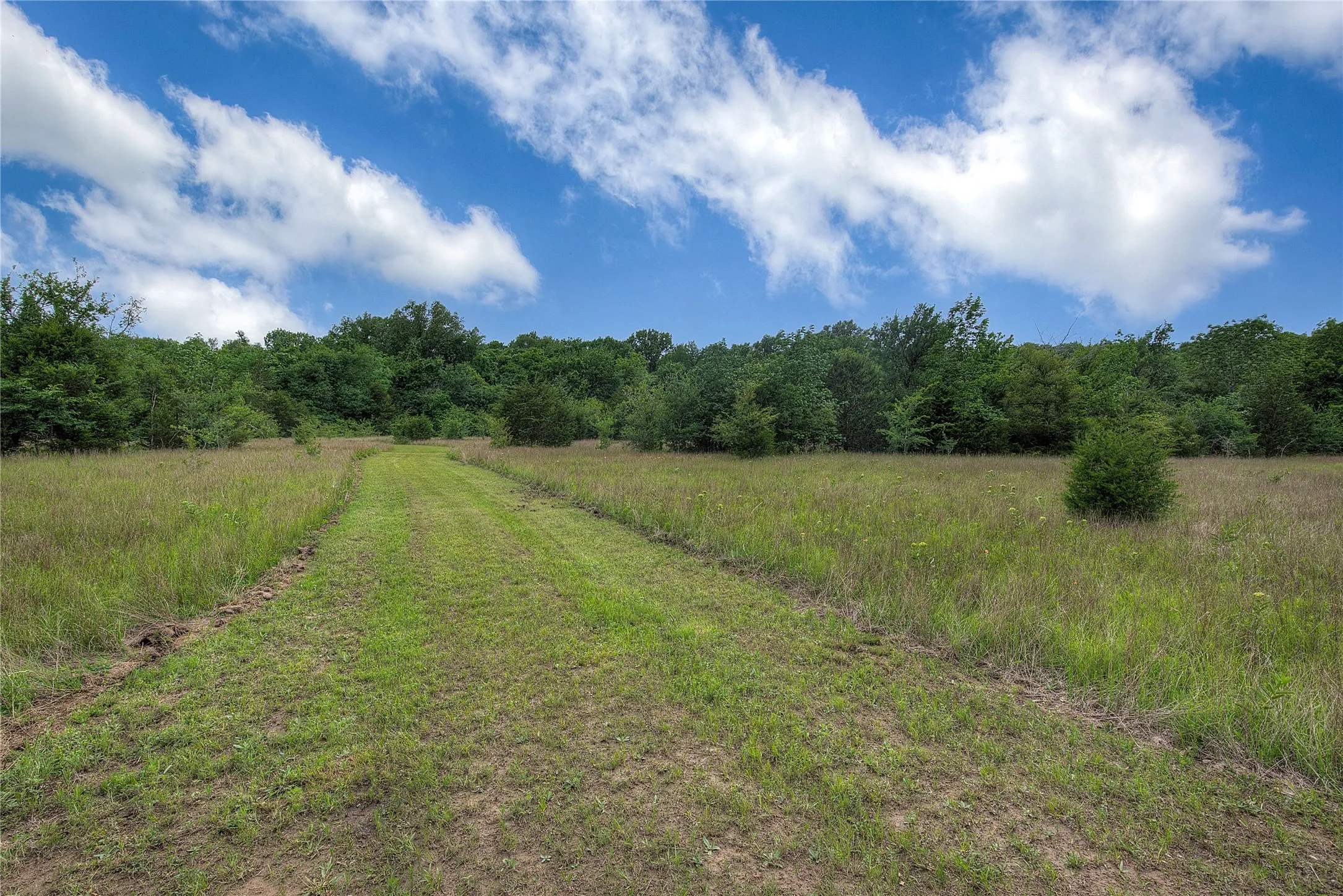 Pocket Prairie with easy to maintain trail