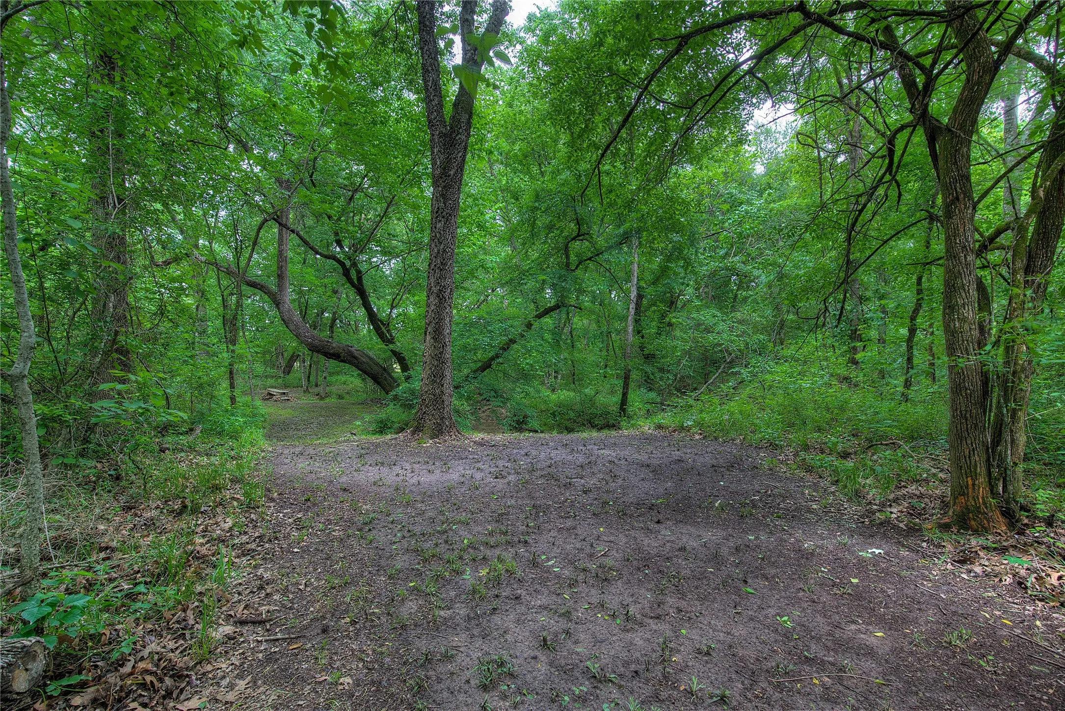 Wooded Trails