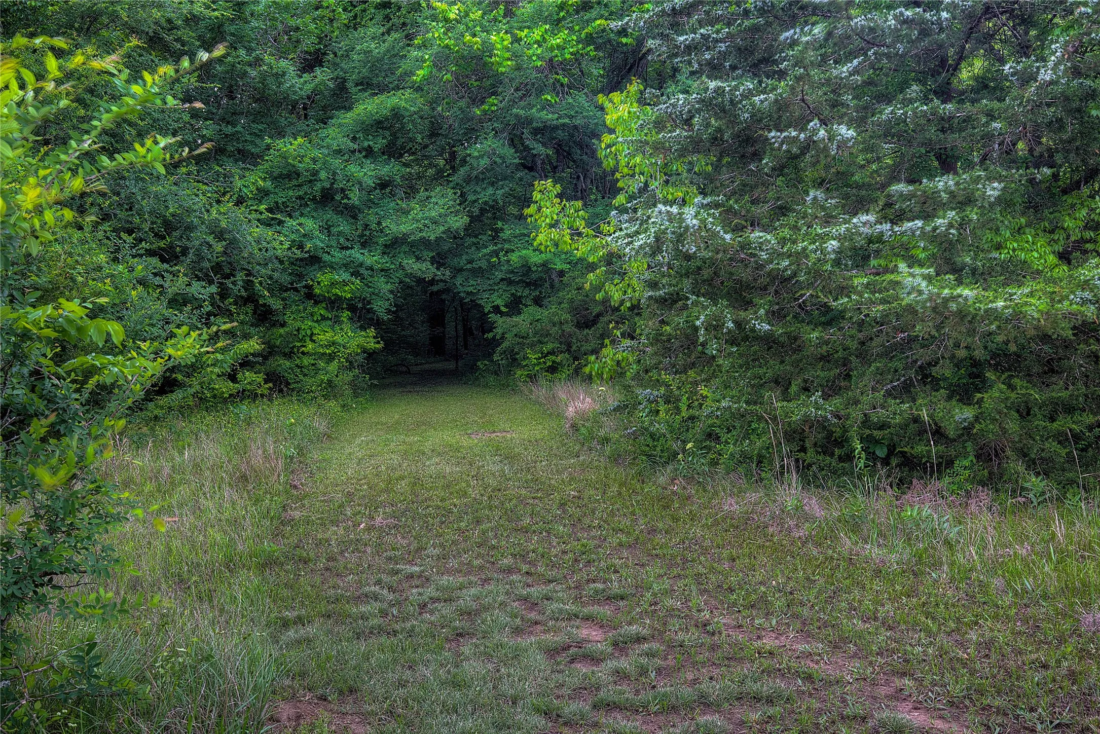 Trails