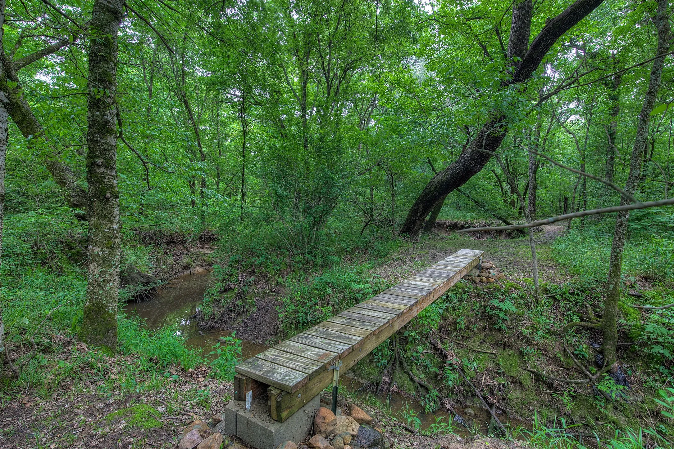 pedestrian bridge over White Oak Creek