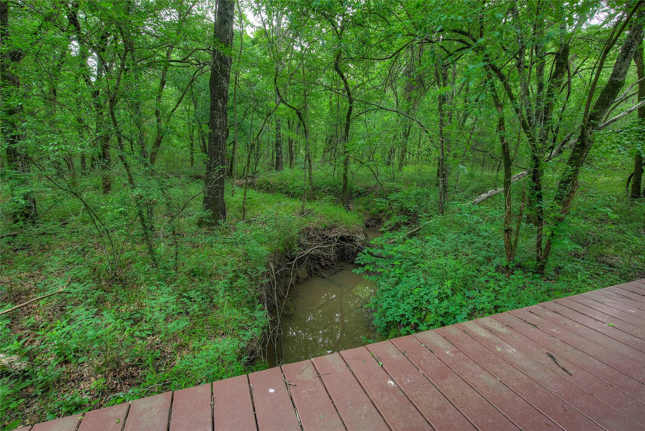 White Oak Creek
