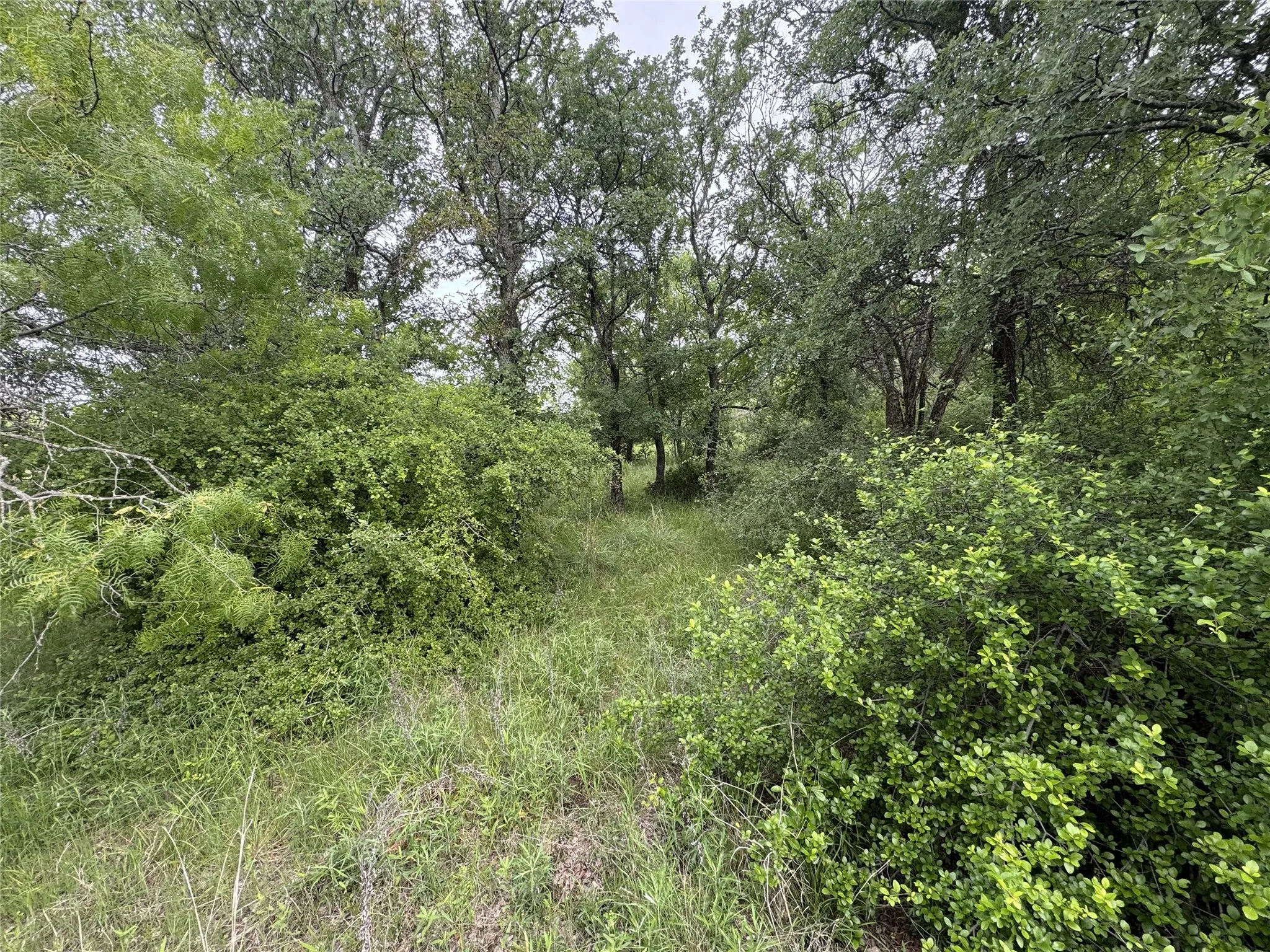 Unimproved Land For Sale in Wise County , 118 Demonbreun Court, Chico, Texas 76431, 0, 0, Garage spaces, 0 Sqft, built in 0, mls#21245110, Real Estate Agent in Chico, Homes For Sale in Wise county, Homes For Sale in Chico, Realtor in Chico Texas, Real Estate Brokerage Independent Realty Texas, Luminita Cordes Realtor