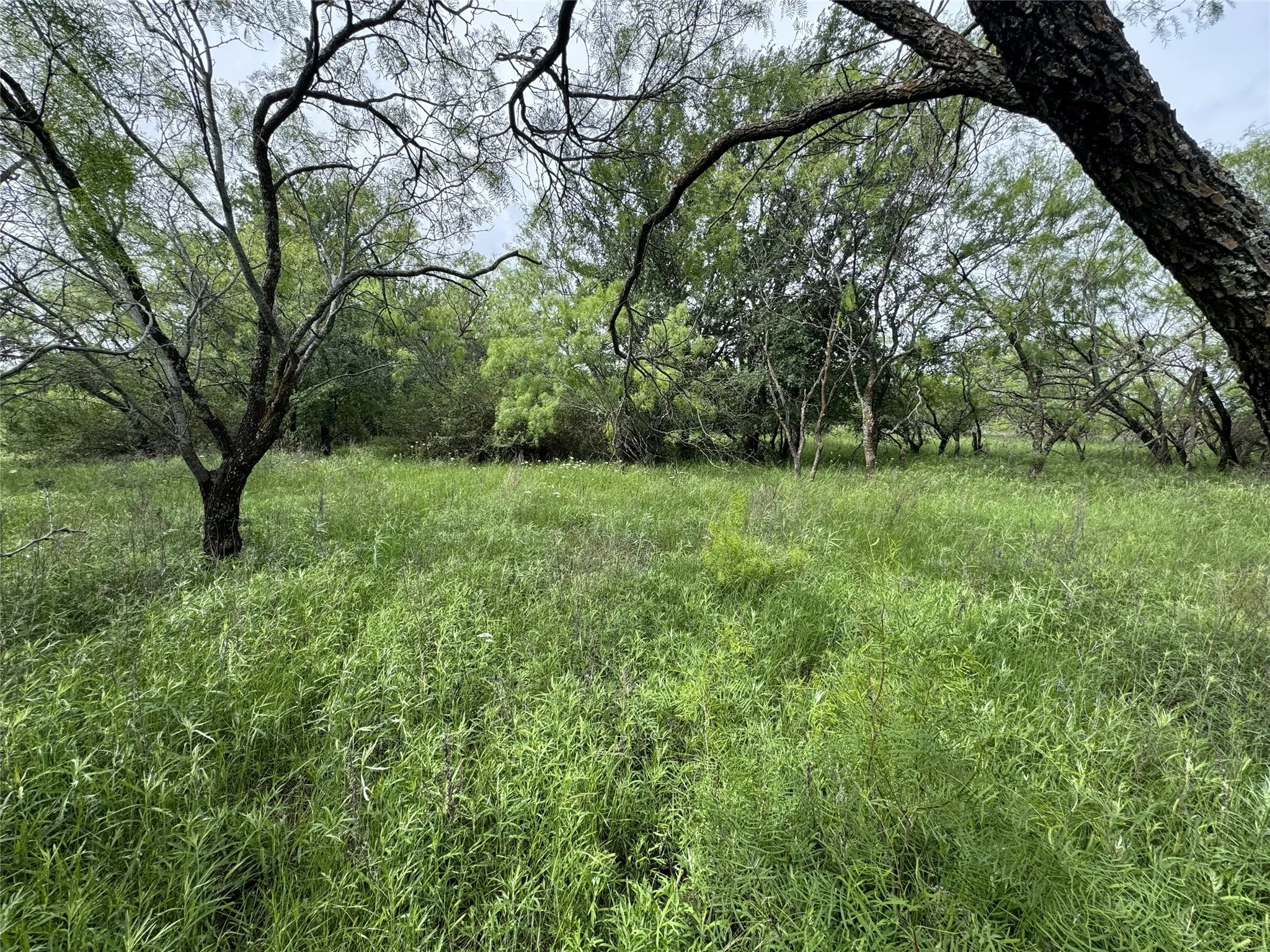 Unimproved Land For Sale in Wise County , 118 Demonbreun Court, Chico, Texas 76431, 0, 0, Garage spaces, 0 Sqft, built in 0, mls#21245110, Real Estate Agent in Chico, Homes For Sale in Wise county, Homes For Sale in Chico, Realtor in Chico Texas, Real Estate Brokerage Independent Realty Texas, Luminita Cordes Realtor