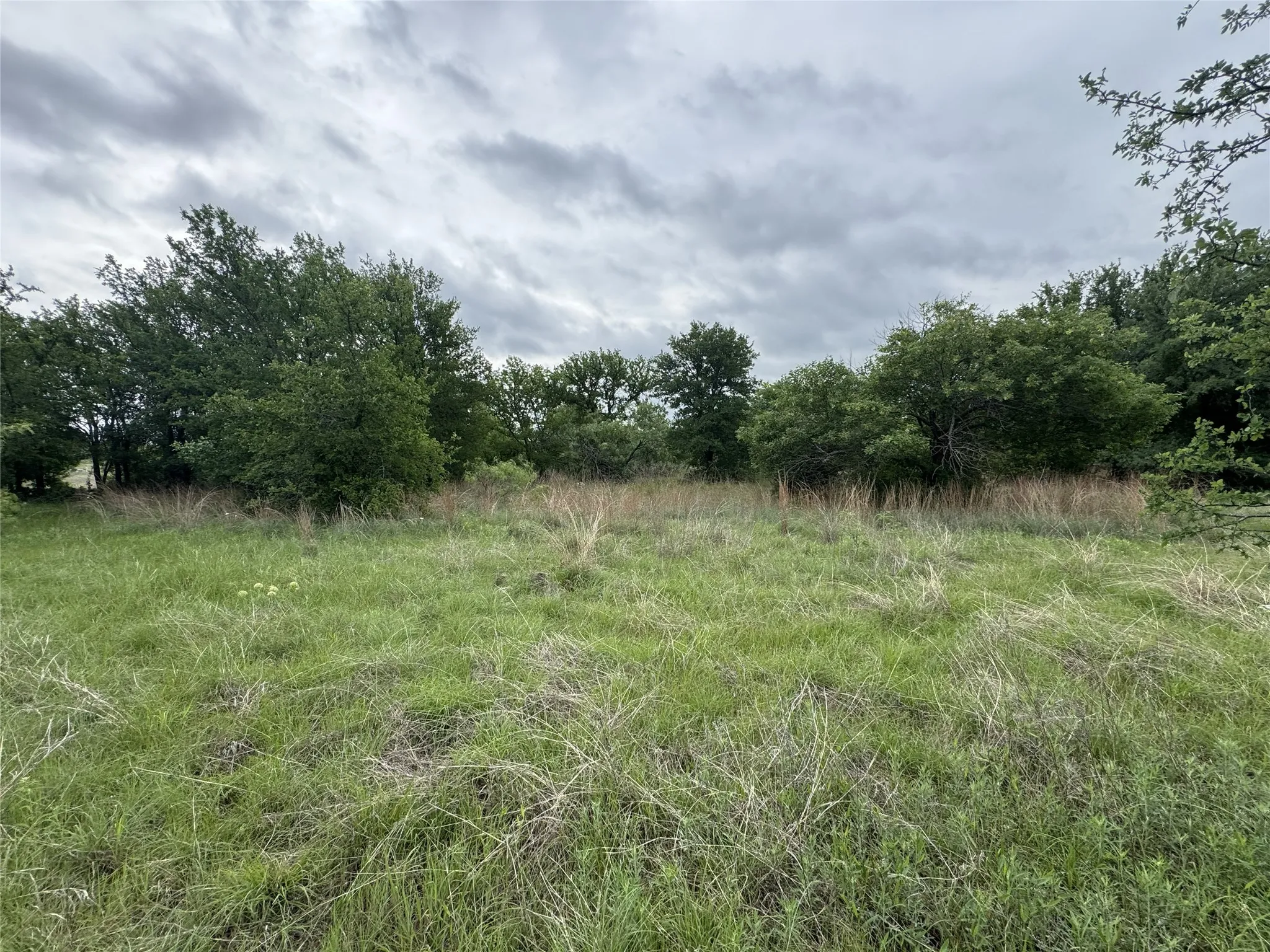 Unimproved Land For Sale in Wise County , 118 Demonbreun Court, Chico, Texas 76431, 0, 0, Garage spaces, 0 Sqft, built in 0, mls#21245110, Real Estate Agent in Chico, Homes For Sale in Wise county, Homes For Sale in Chico, Realtor in Chico Texas, Real Estate Brokerage Independent Realty Texas, Luminita Cordes Realtor