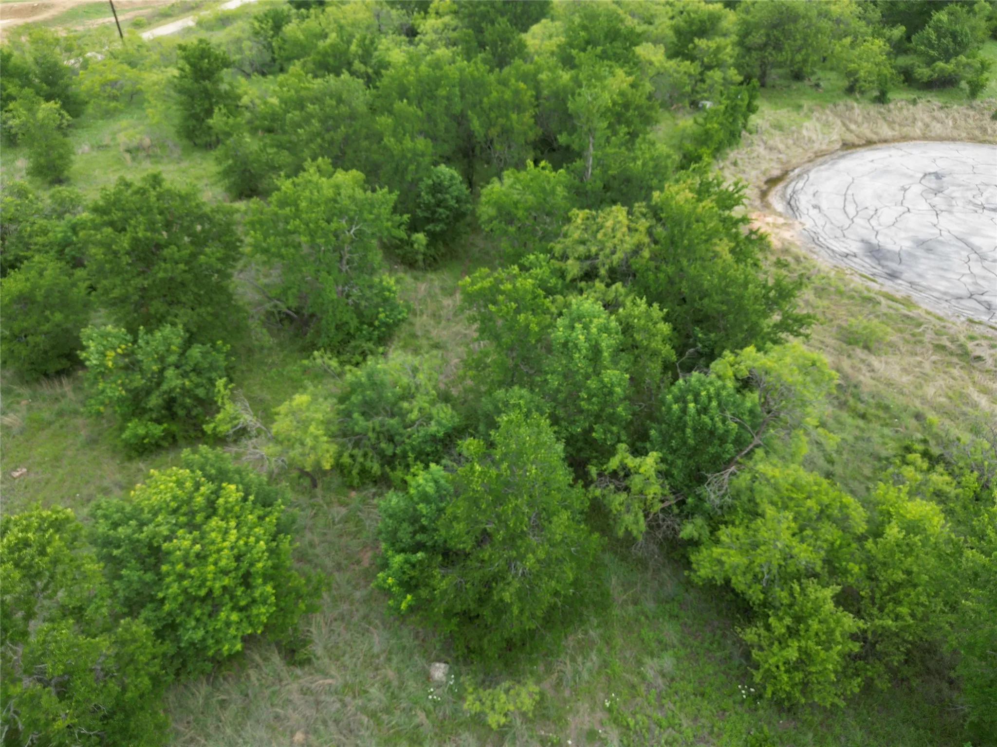Unimproved Land For Sale in Wise County , 118 Demonbreun Court, Chico, Texas 76431, 0, 0, Garage spaces, 0 Sqft, built in 0, mls#21245110, Real Estate Agent in Chico, Homes For Sale in Wise county, Homes For Sale in Chico, Realtor in Chico Texas, Real Estate Brokerage Independent Realty Texas, Luminita Cordes Realtor