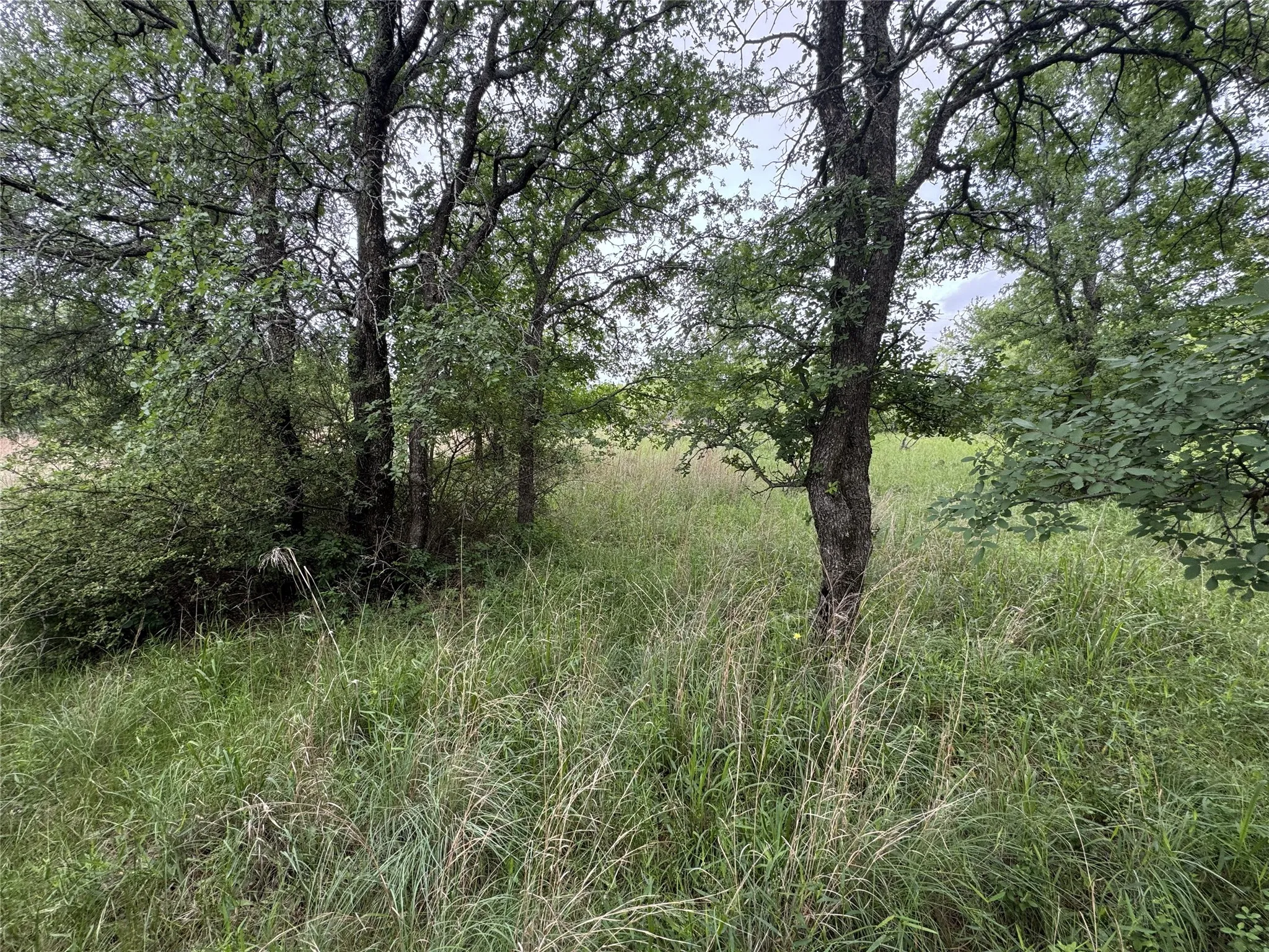 Unimproved Land For Sale in Wise County , 118 Demonbreun Court, Chico, Texas 76431, 0, 0, Garage spaces, 0 Sqft, built in 0, mls#21245110, Real Estate Agent in Chico, Homes For Sale in Wise county, Homes For Sale in Chico, Realtor in Chico Texas, Real Estate Brokerage Independent Realty Texas, Luminita Cordes Realtor