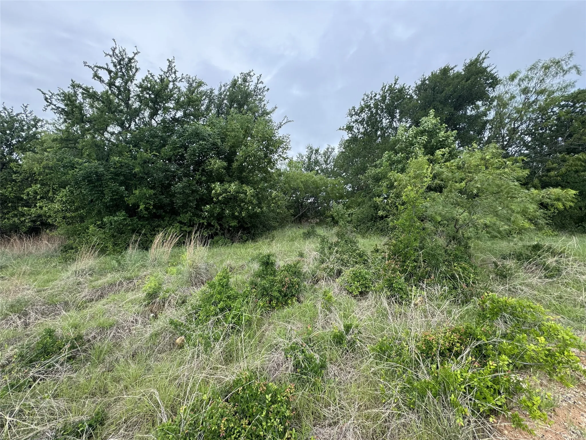 Unimproved Land For Sale in Wise County , 118 Demonbreun Court, Chico, Texas 76431, 0, 0, Garage spaces, 0 Sqft, built in 0, mls#21245110, Real Estate Agent in Chico, Homes For Sale in Wise county, Homes For Sale in Chico, Realtor in Chico Texas, Real Estate Brokerage Independent Realty Texas, Luminita Cordes Realtor