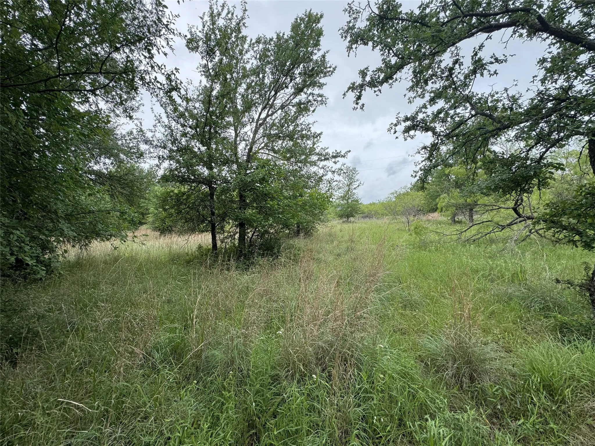 Unimproved Land For Sale in Wise County , 118 Demonbreun Court, Chico, Texas 76431, 0, 0, Garage spaces, 0 Sqft, built in 0, mls#21245110, Real Estate Agent in Chico, Homes For Sale in Wise county, Homes For Sale in Chico, Realtor in Chico Texas, Real Estate Brokerage Independent Realty Texas, Luminita Cordes Realtor