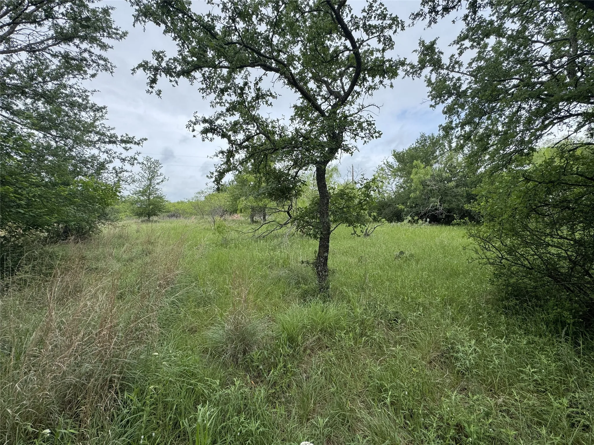 Unimproved Land For Sale in Wise County , 118 Demonbreun Court, Chico, Texas 76431, 0, 0, Garage spaces, 0 Sqft, built in 0, mls#21245110, Real Estate Agent in Chico, Homes For Sale in Wise county, Homes For Sale in Chico, Realtor in Chico Texas, Real Estate Brokerage Independent Realty Texas, Luminita Cordes Realtor