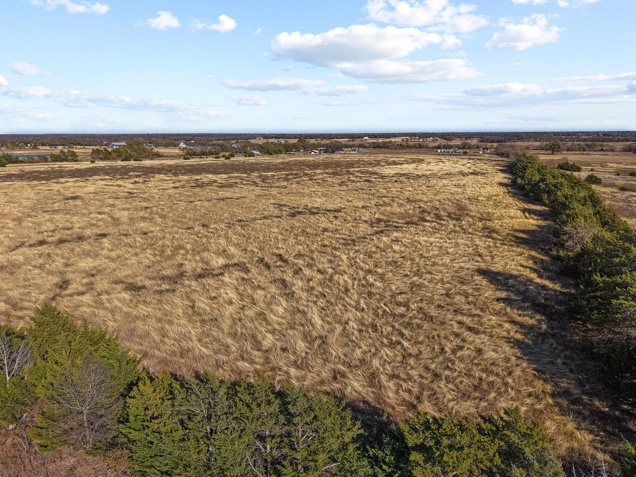 Unimproved Land For Sale in Collin County , 0000 County Rd 632, Blue Ridge, Texas 75424, 0, 0, Garage spaces, 0 Sqft, built in 0, mls#21250044, Real Estate Agent in Blue Ridge, Homes For Sale in Collin county, Homes For Sale in Blue Ridge, Realtor in Blue Ridge Texas, Real Estate Brokerage Independent Realty Texas, Luminita Cordes Realtor