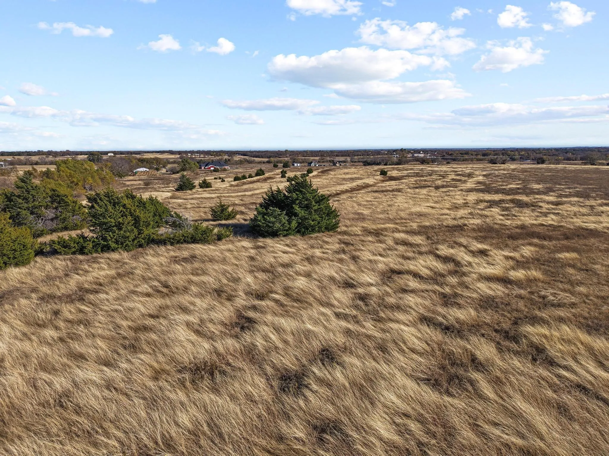 Unimproved Land For Sale in Collin County , 0000 County Rd 632, Blue Ridge, Texas 75424, 0, 0, Garage spaces, 0 Sqft, built in 0, mls#21250044, Real Estate Agent in Blue Ridge, Homes For Sale in Collin county, Homes For Sale in Blue Ridge, Realtor in Blue Ridge Texas, Real Estate Brokerage Independent Realty Texas, Luminita Cordes Realtor