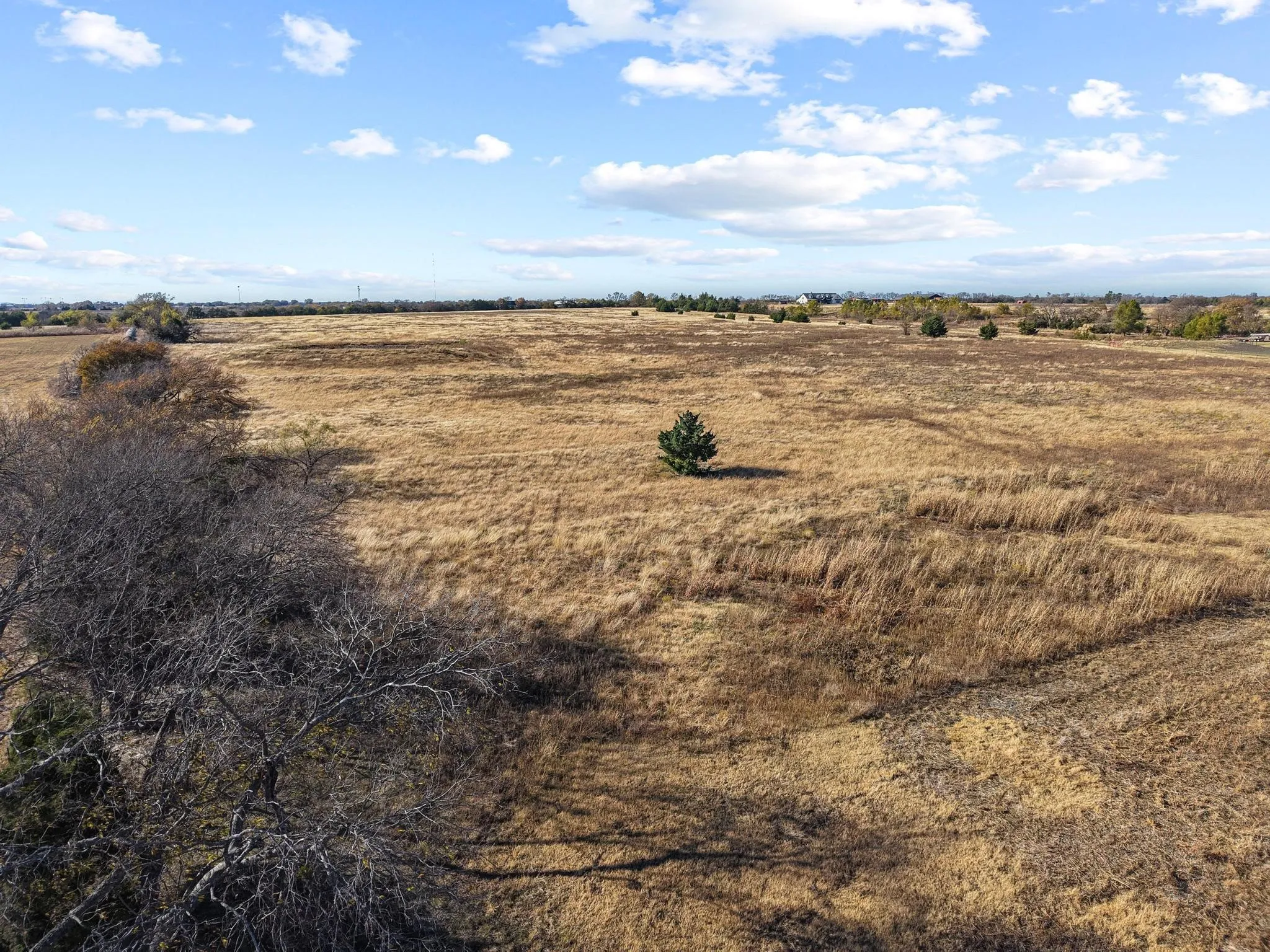 Unimproved Land For Sale in Collin County , 0000 County Rd 632, Blue Ridge, Texas 75424, 0, 0, Garage spaces, 0 Sqft, built in 0, mls#21250044, Real Estate Agent in Blue Ridge, Homes For Sale in Collin county, Homes For Sale in Blue Ridge, Realtor in Blue Ridge Texas, Real Estate Brokerage Independent Realty Texas, Luminita Cordes Realtor