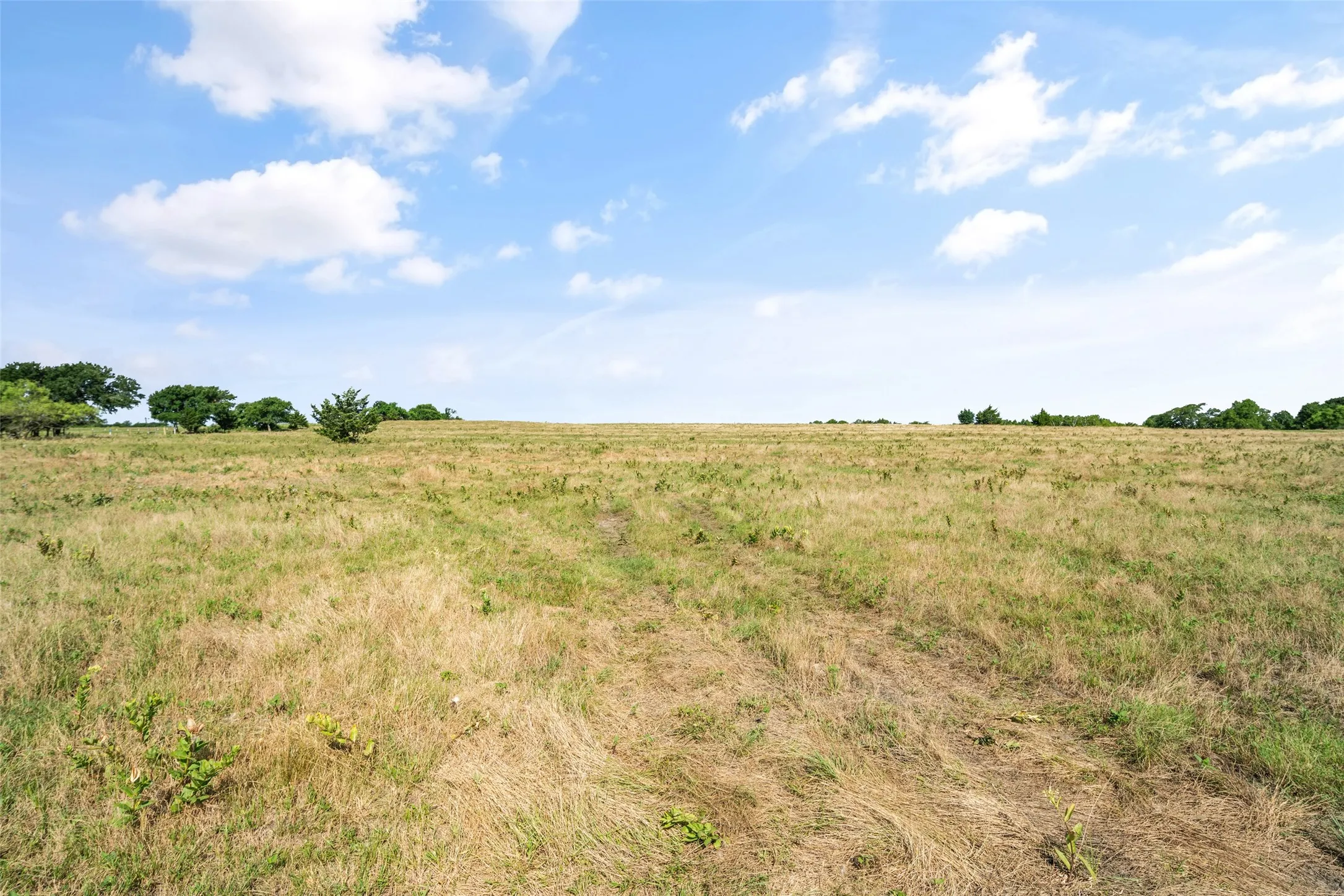 Unimproved Land For Sale in Collin County , 0000 County Rd 632, Blue Ridge, Texas 75424, 0, 0, Garage spaces, 0 Sqft, built in 0, mls#21250044, Real Estate Agent in Blue Ridge, Homes For Sale in Collin county, Homes For Sale in Blue Ridge, Realtor in Blue Ridge Texas, Real Estate Brokerage Independent Realty Texas, Luminita Cordes Realtor