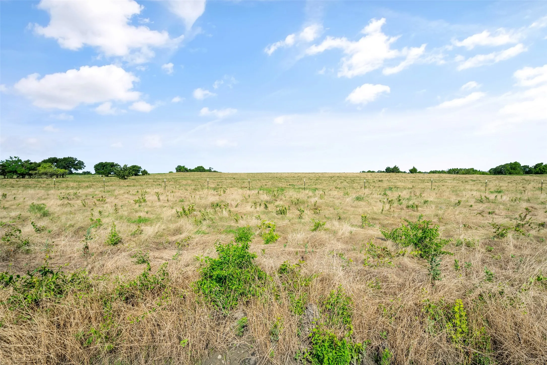 Unimproved Land For Sale in Collin County , 0000 County Rd 632, Blue Ridge, Texas 75424, 0, 0, Garage spaces, 0 Sqft, built in 0, mls#21250044, Real Estate Agent in Blue Ridge, Homes For Sale in Collin county, Homes For Sale in Blue Ridge, Realtor in Blue Ridge Texas, Real Estate Brokerage Independent Realty Texas, Luminita Cordes Realtor