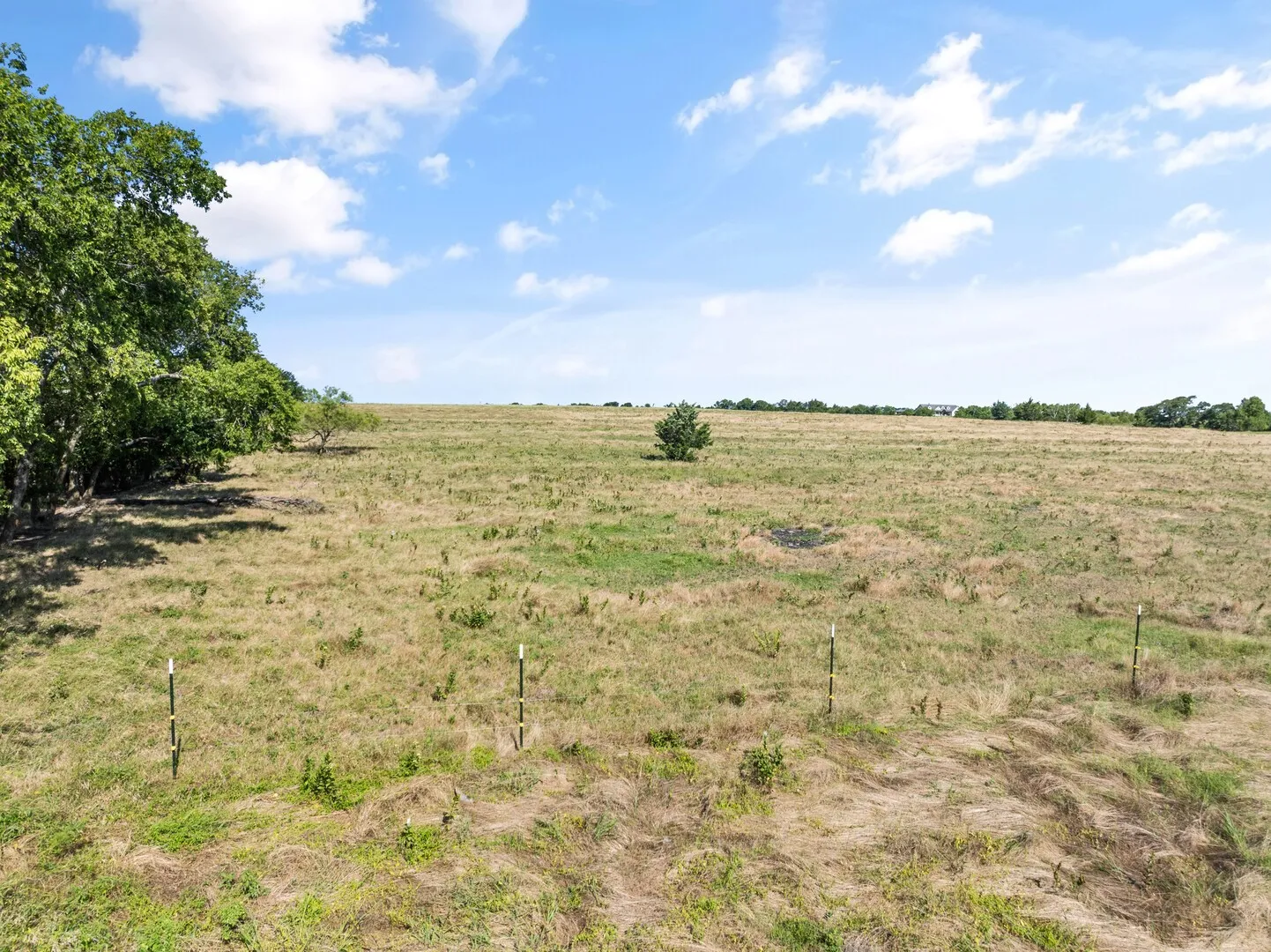 Unimproved Land For Sale in Collin County , 0000 County Rd 632, Blue Ridge, Texas 75424, 0, 0, Garage spaces, 0 Sqft, built in 0, mls#21250044, Real Estate Agent in Blue Ridge, Homes For Sale in Collin county, Homes For Sale in Blue Ridge, Realtor in Blue Ridge Texas, Real Estate Brokerage Independent Realty Texas, Luminita Cordes Realtor