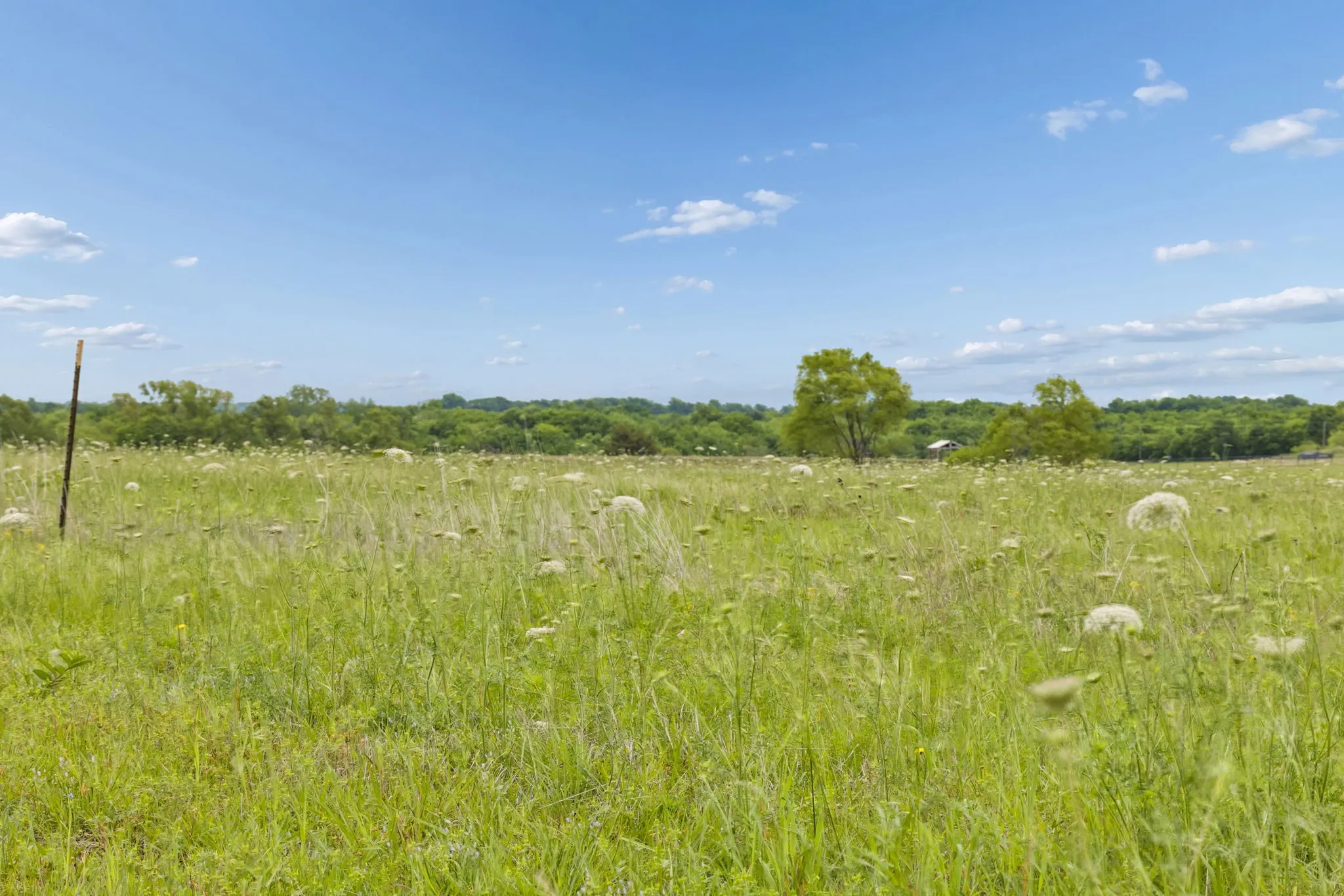 Unimproved Land For Sale in Fannin County , TBD Fm 272, Leonard, Texas 75452, 0, 0, Garage spaces, 0 Sqft, built in 0, mls#21244974, Real Estate Agent in Leonard, Homes For Sale in Fannin county, Homes For Sale in Leonard, Realtor in Leonard Texas, Real Estate Brokerage Independent Realty Texas, Luminita Cordes Realtor
