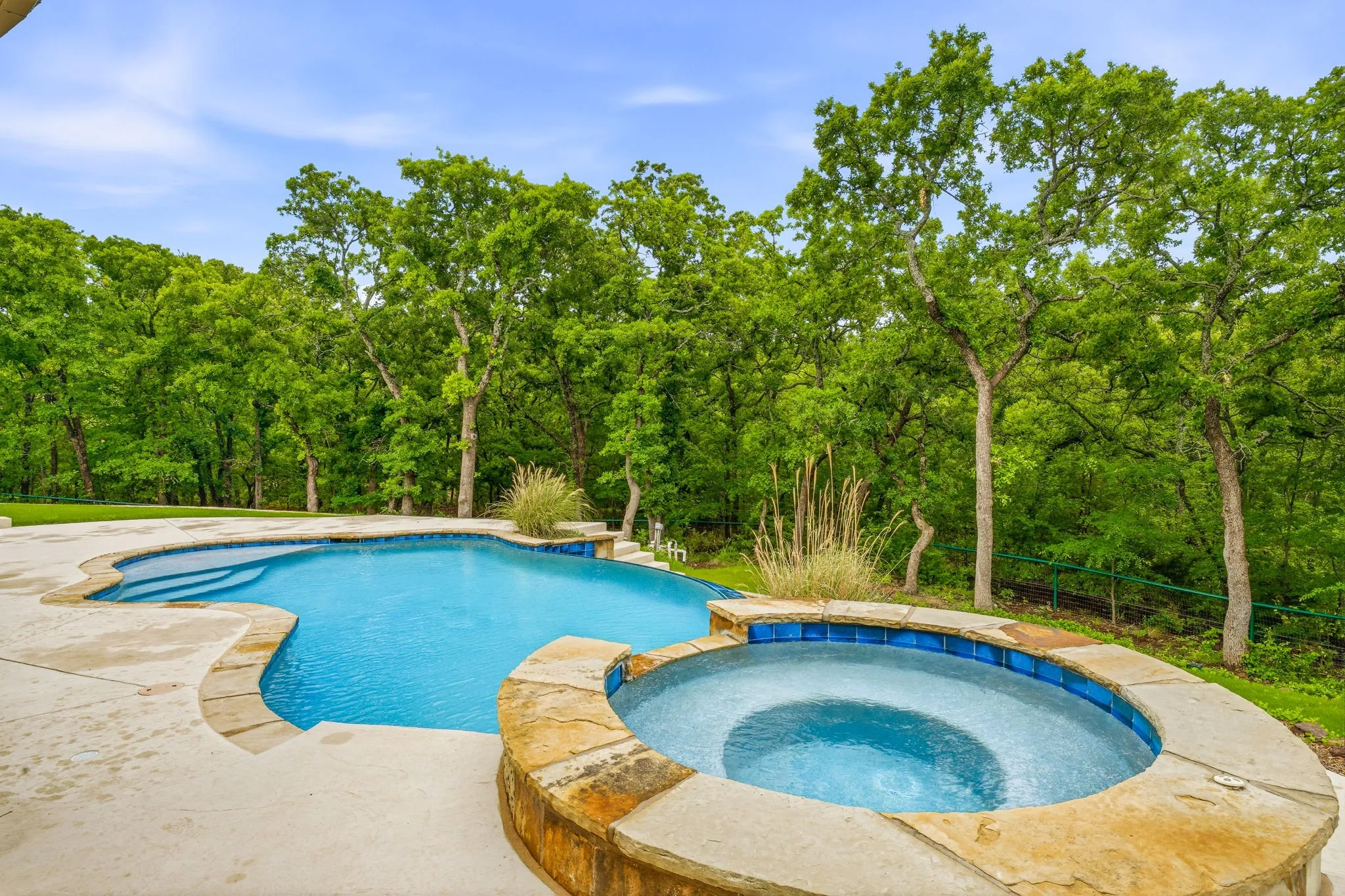 Backyard pool view