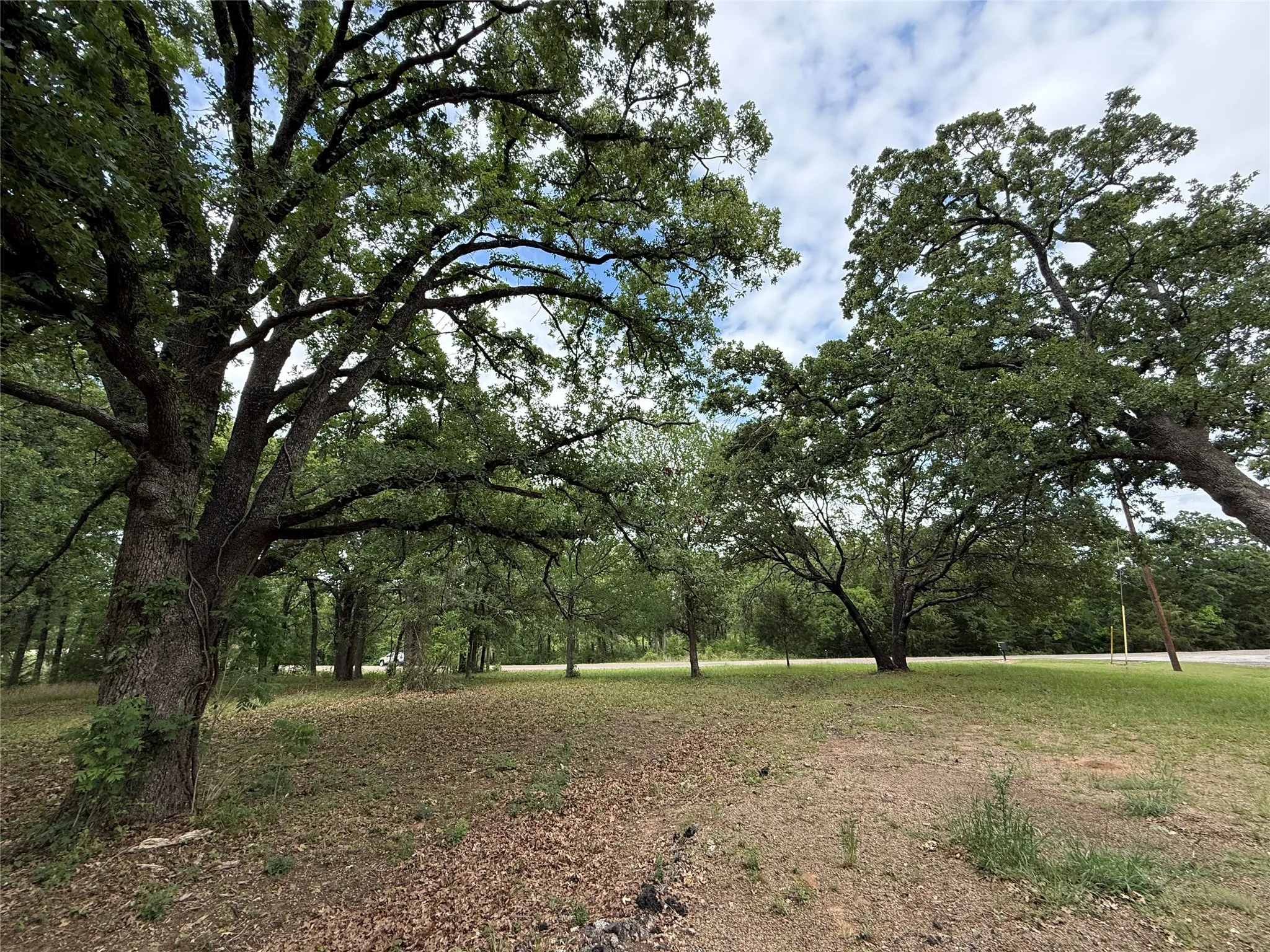Unimproved Land For Sale in Freestone County , Lot 112 April Cove, Streetman, Texas 75859, 0, 0, Garage spaces, 0 Sqft, built in 0, Price $30,000, mls#21250127, Real Estate Agent in Streetman, Homes For Sale in Freestone county, Homes For Sale in Streetman, Realtor in Streetman Texas, Real Estate Brokerage Independent Realty Texas, Luminita Cordes Realtor