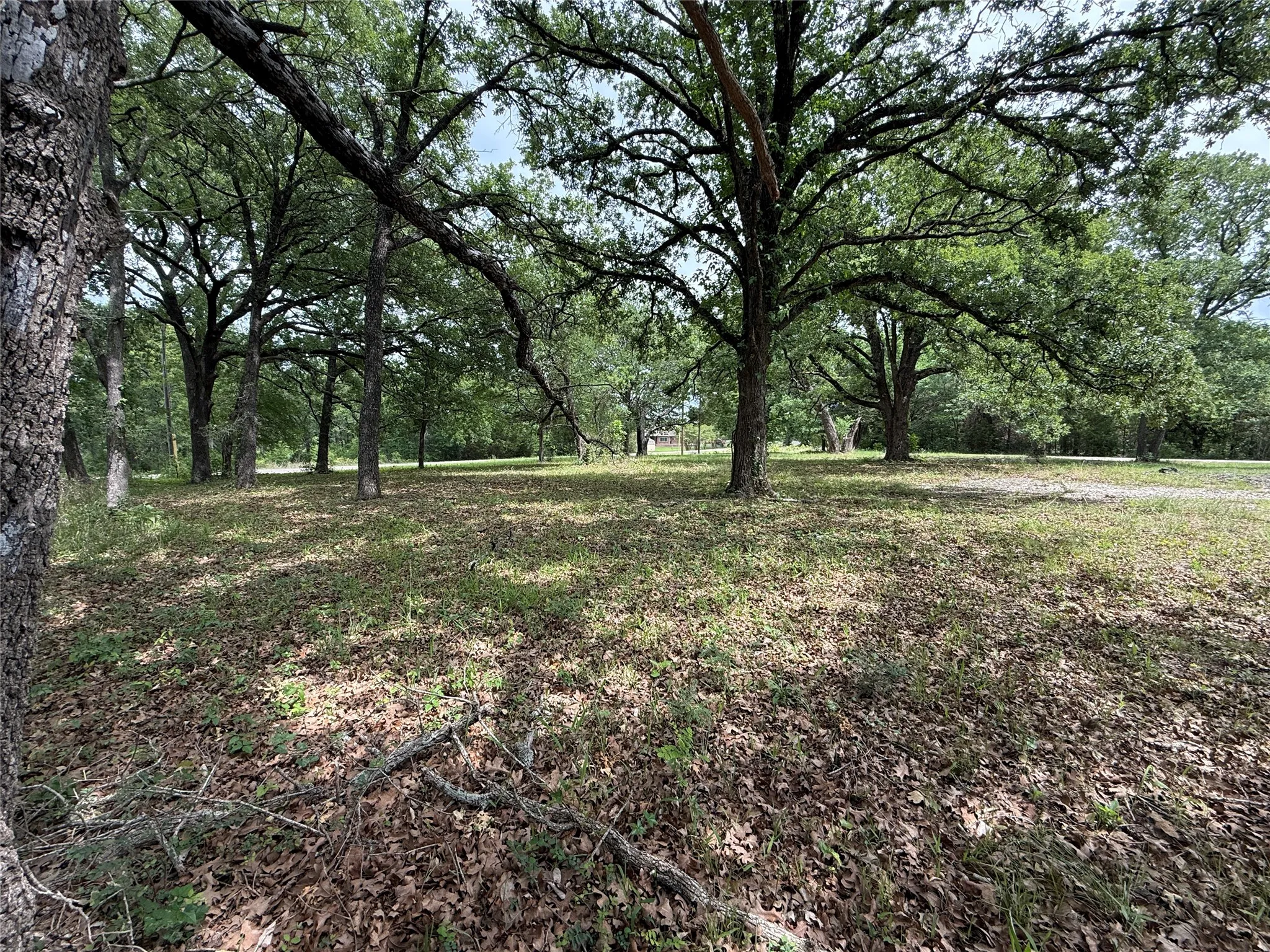 Unimproved Land For Sale in Freestone County , Lot 112 April Cove, Streetman, Texas 75859, 0, 0, Garage spaces, 0 Sqft, built in 0, Price $30,000, mls#21250127, Real Estate Agent in Streetman, Homes For Sale in Freestone county, Homes For Sale in Streetman, Realtor in Streetman Texas, Real Estate Brokerage Independent Realty Texas, Luminita Cordes Realtor