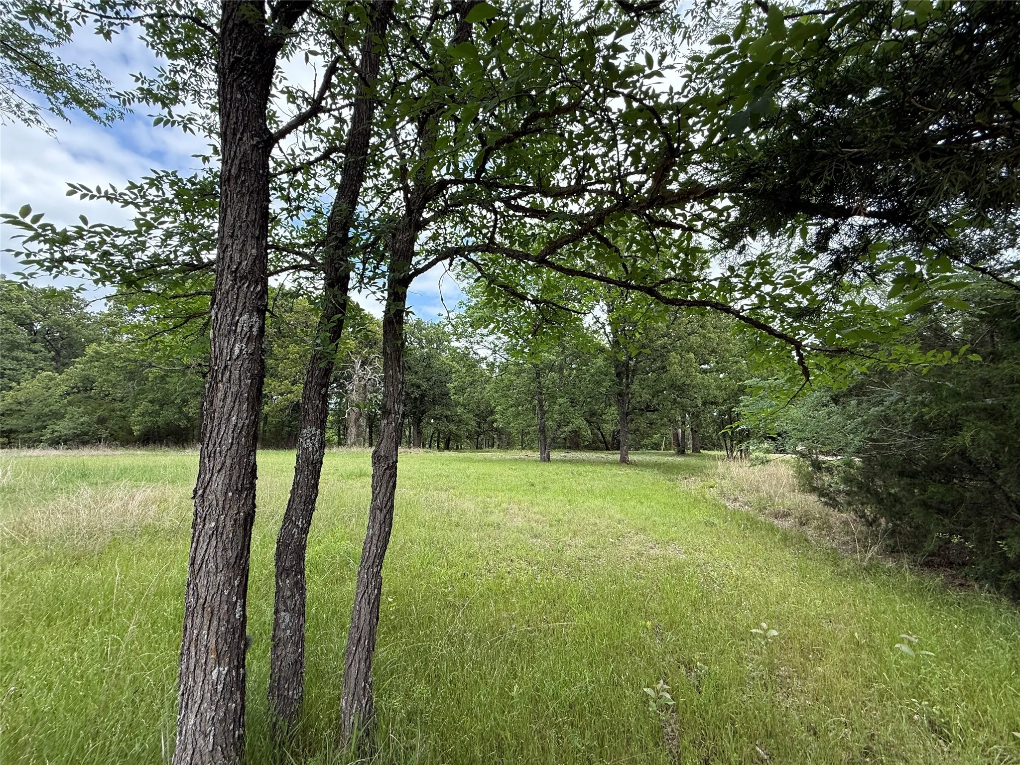 Unimproved Land For Sale in Freestone County , Lot 112 April Cove, Streetman, Texas 75859, 0, 0, Garage spaces, 0 Sqft, built in 0, Price $30,000, mls#21250127, Real Estate Agent in Streetman, Homes For Sale in Freestone county, Homes For Sale in Streetman, Realtor in Streetman Texas, Real Estate Brokerage Independent Realty Texas, Luminita Cordes Realtor