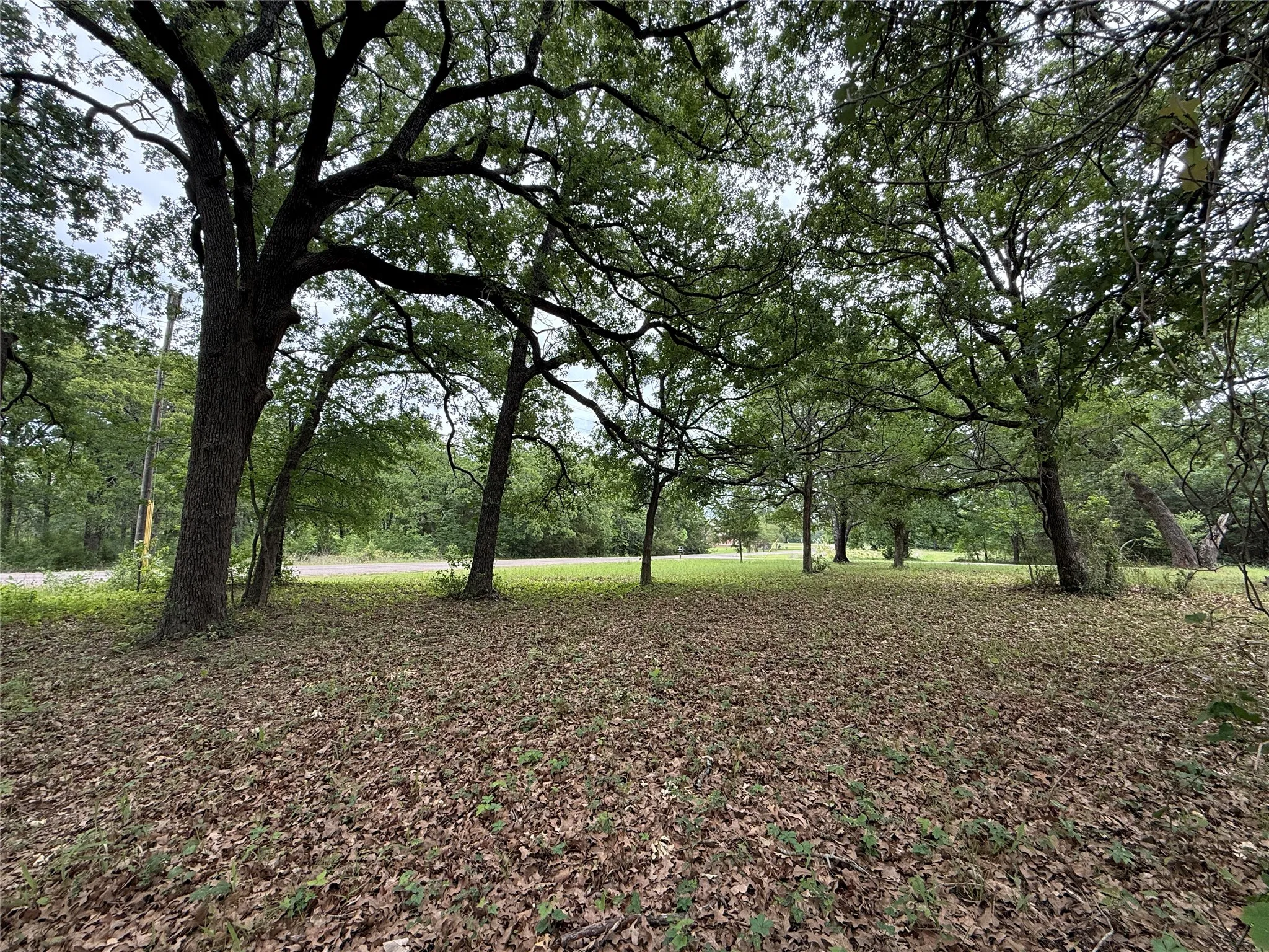 Unimproved Land For Sale in Freestone County , Lot 112 April Cove, Streetman, Texas 75859, 0, 0, Garage spaces, 0 Sqft, built in 0, Price $30,000, mls#21250127, Real Estate Agent in Streetman, Homes For Sale in Freestone county, Homes For Sale in Streetman, Realtor in Streetman Texas, Real Estate Brokerage Independent Realty Texas, Luminita Cordes Realtor
