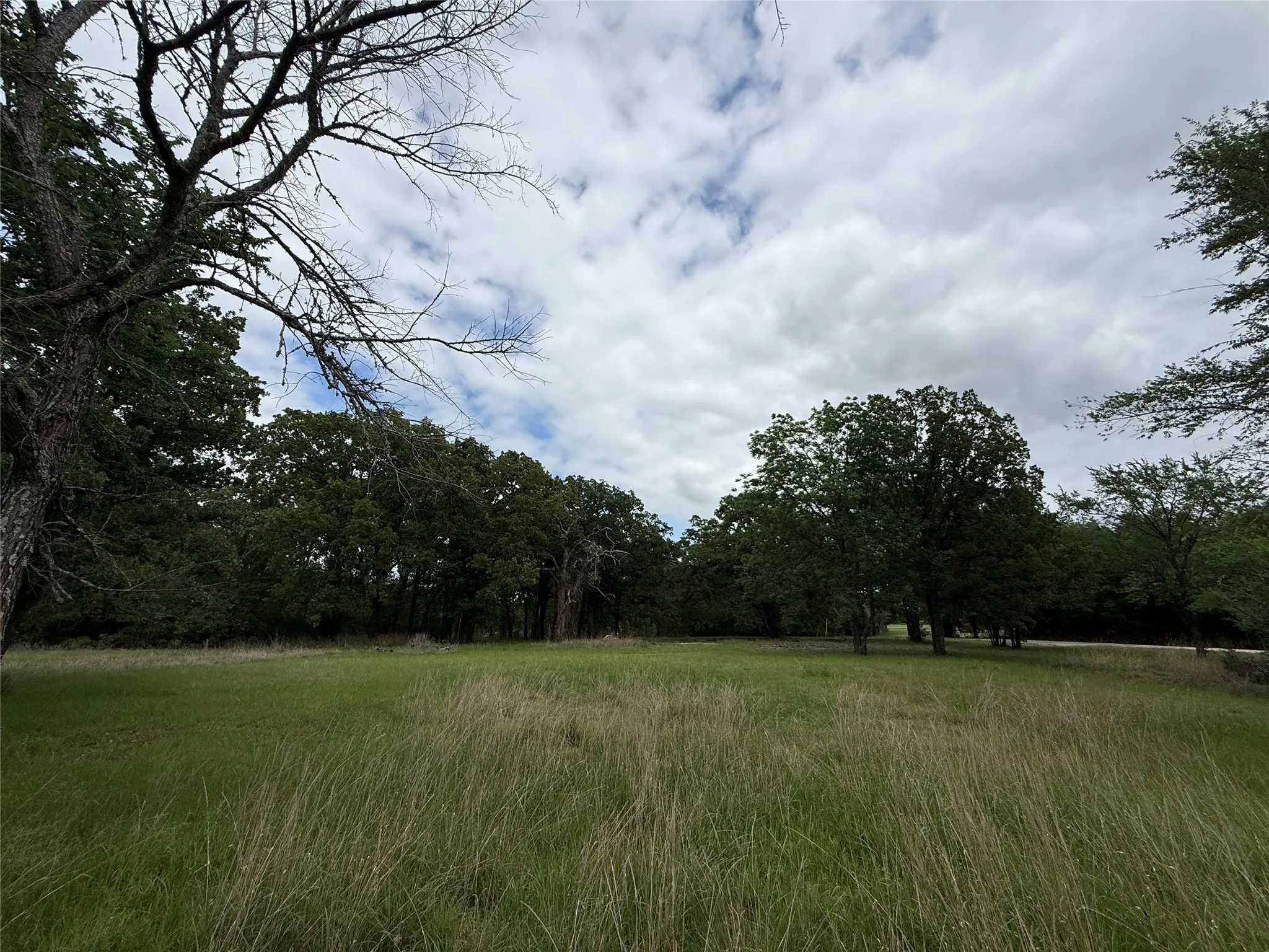 Unimproved Land For Sale in Freestone County , Lot 112 April Cove, Streetman, Texas 75859, 0, 0, Garage spaces, 0 Sqft, built in 0, Price $30,000, mls#21250127, Real Estate Agent in Streetman, Homes For Sale in Freestone county, Homes For Sale in Streetman, Realtor in Streetman Texas, Real Estate Brokerage Independent Realty Texas, Luminita Cordes Realtor