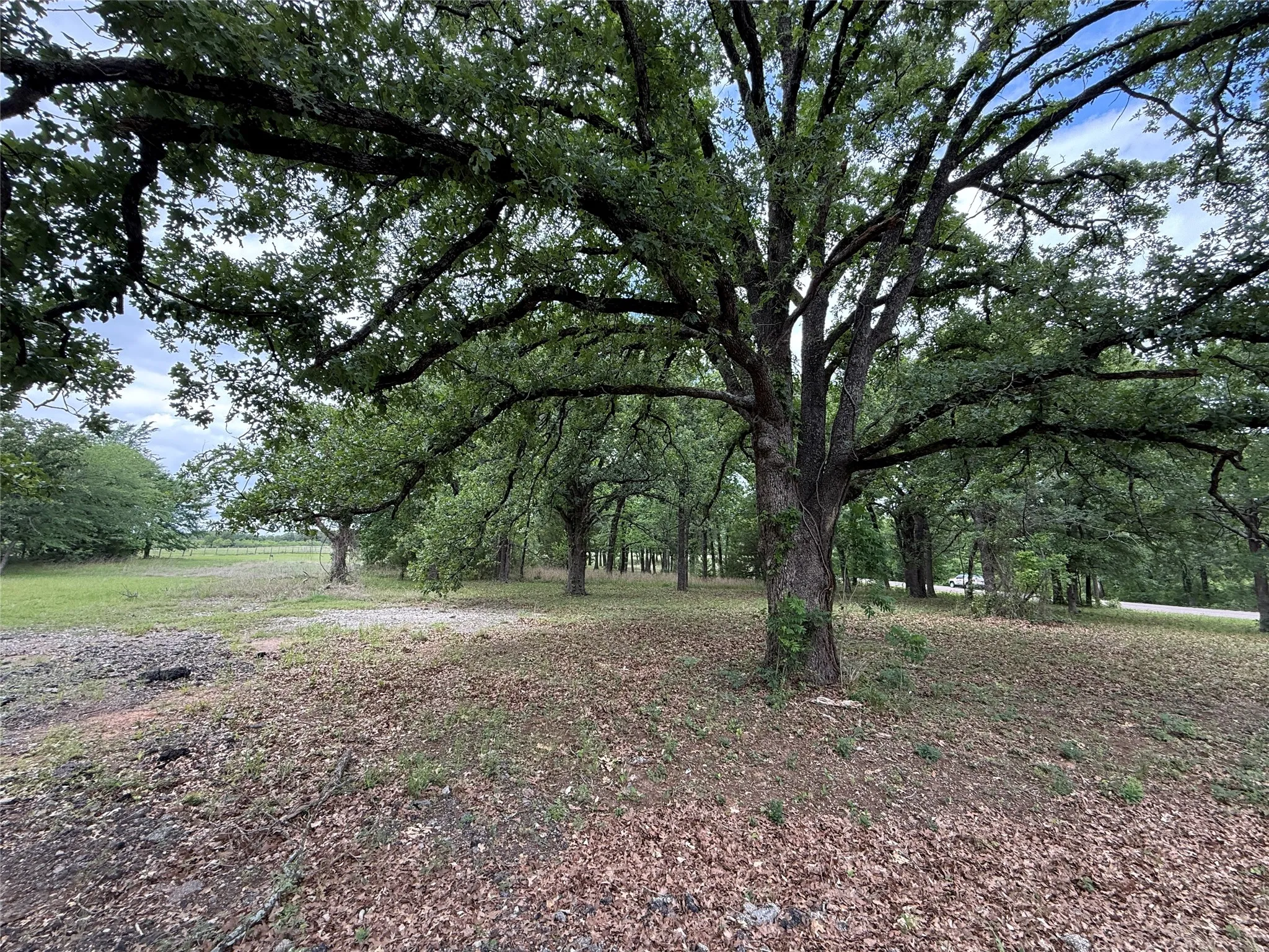 Unimproved Land For Sale in Freestone County , Lot 112 April Cove, Streetman, Texas 75859, 0, 0, Garage spaces, 0 Sqft, built in 0, Price $30,000, mls#21250127, Real Estate Agent in Streetman, Homes For Sale in Freestone county, Homes For Sale in Streetman, Realtor in Streetman Texas, Real Estate Brokerage Independent Realty Texas, Luminita Cordes Realtor
