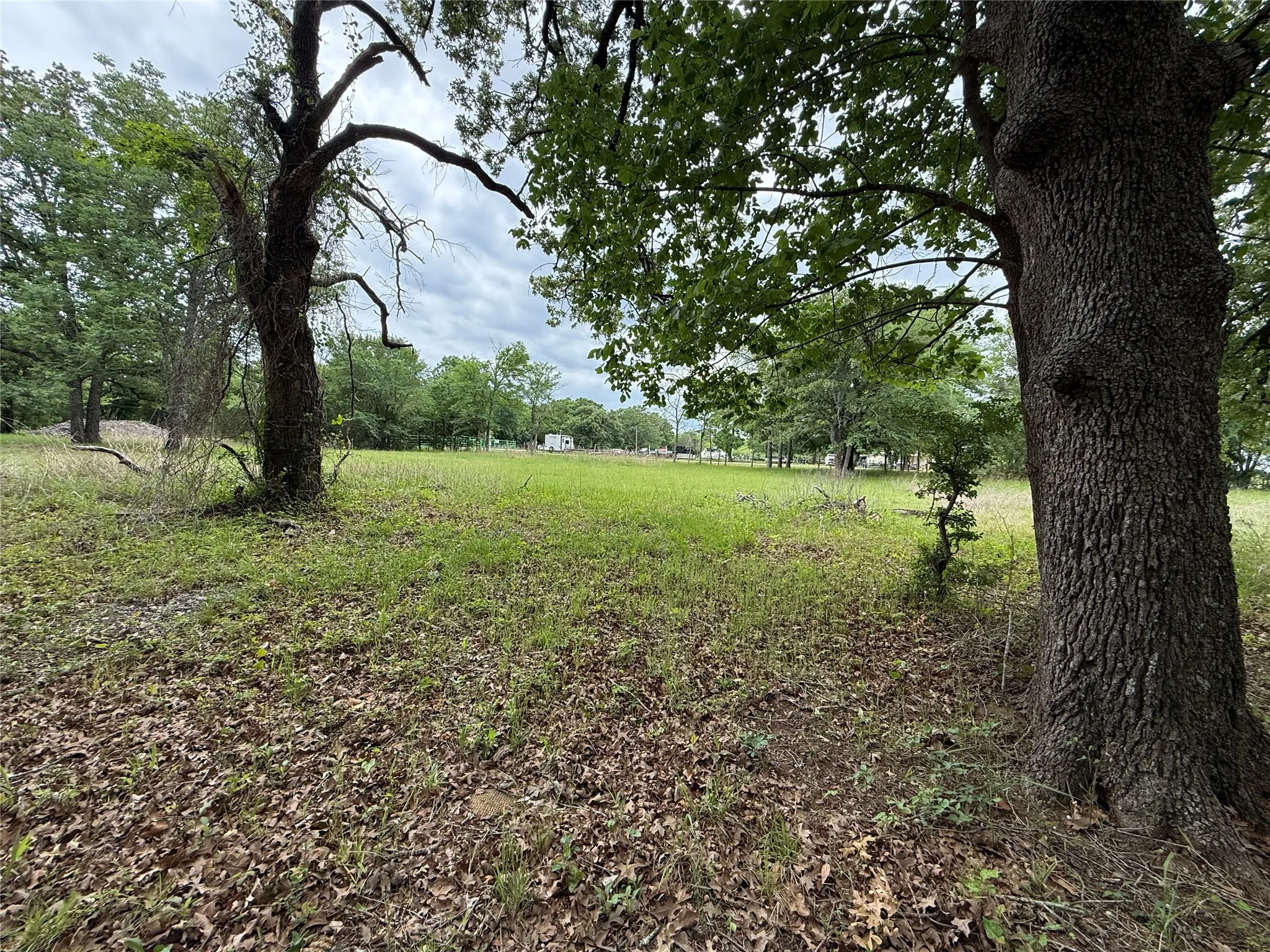 Unimproved Land For Sale in Freestone County , Lot 112 April Cove, Streetman, Texas 75859, 0, 0, Garage spaces, 0 Sqft, built in 0, Price $30,000, mls#21250127, Real Estate Agent in Streetman, Homes For Sale in Freestone county, Homes For Sale in Streetman, Realtor in Streetman Texas, Real Estate Brokerage Independent Realty Texas, Luminita Cordes Realtor