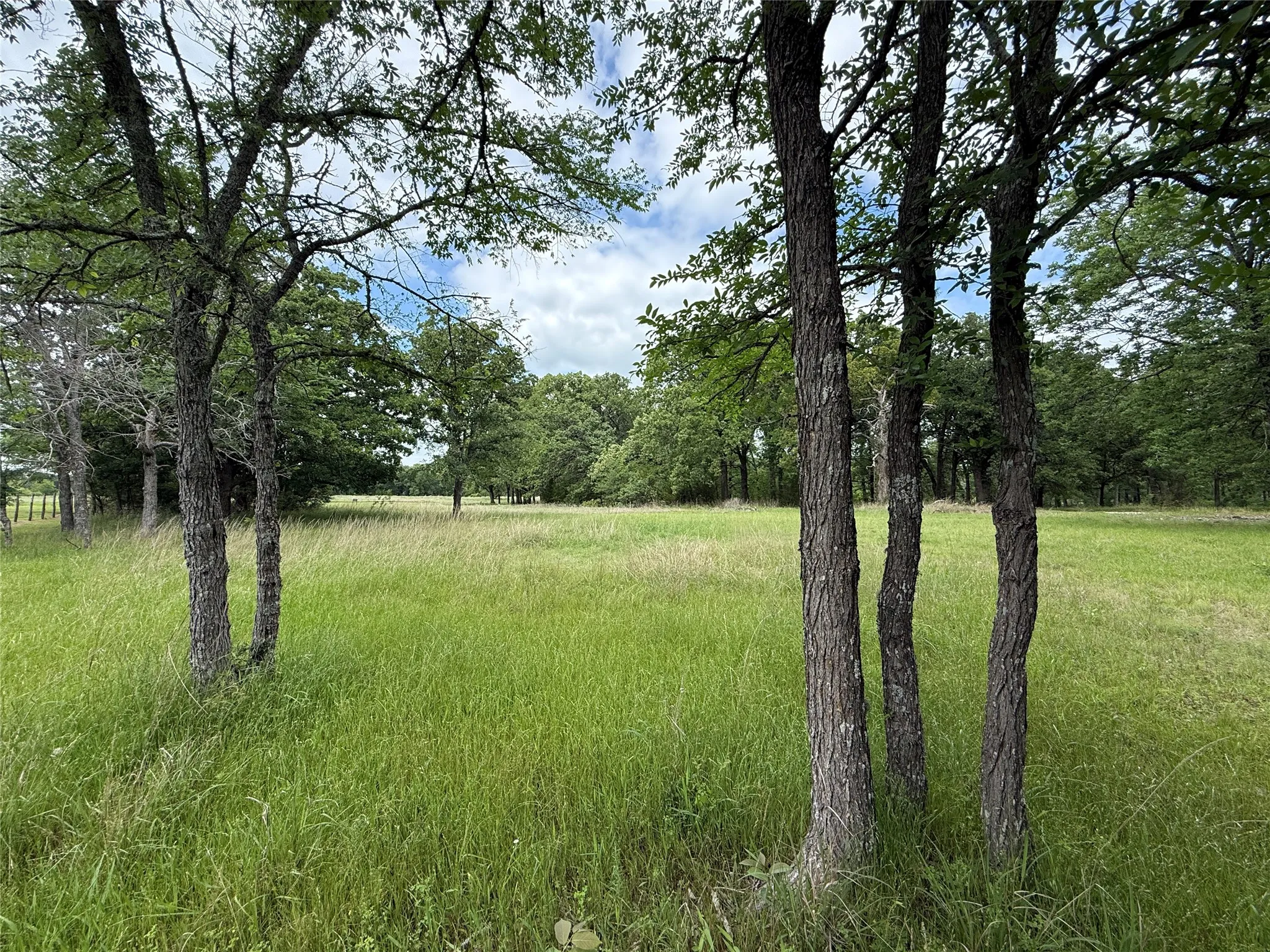 Unimproved Land For Sale in Freestone County , Lot 112 April Cove, Streetman, Texas 75859, 0, 0, Garage spaces, 0 Sqft, built in 0, Price $30,000, mls#21250127, Real Estate Agent in Streetman, Homes For Sale in Freestone county, Homes For Sale in Streetman, Realtor in Streetman Texas, Real Estate Brokerage Independent Realty Texas, Luminita Cordes Realtor