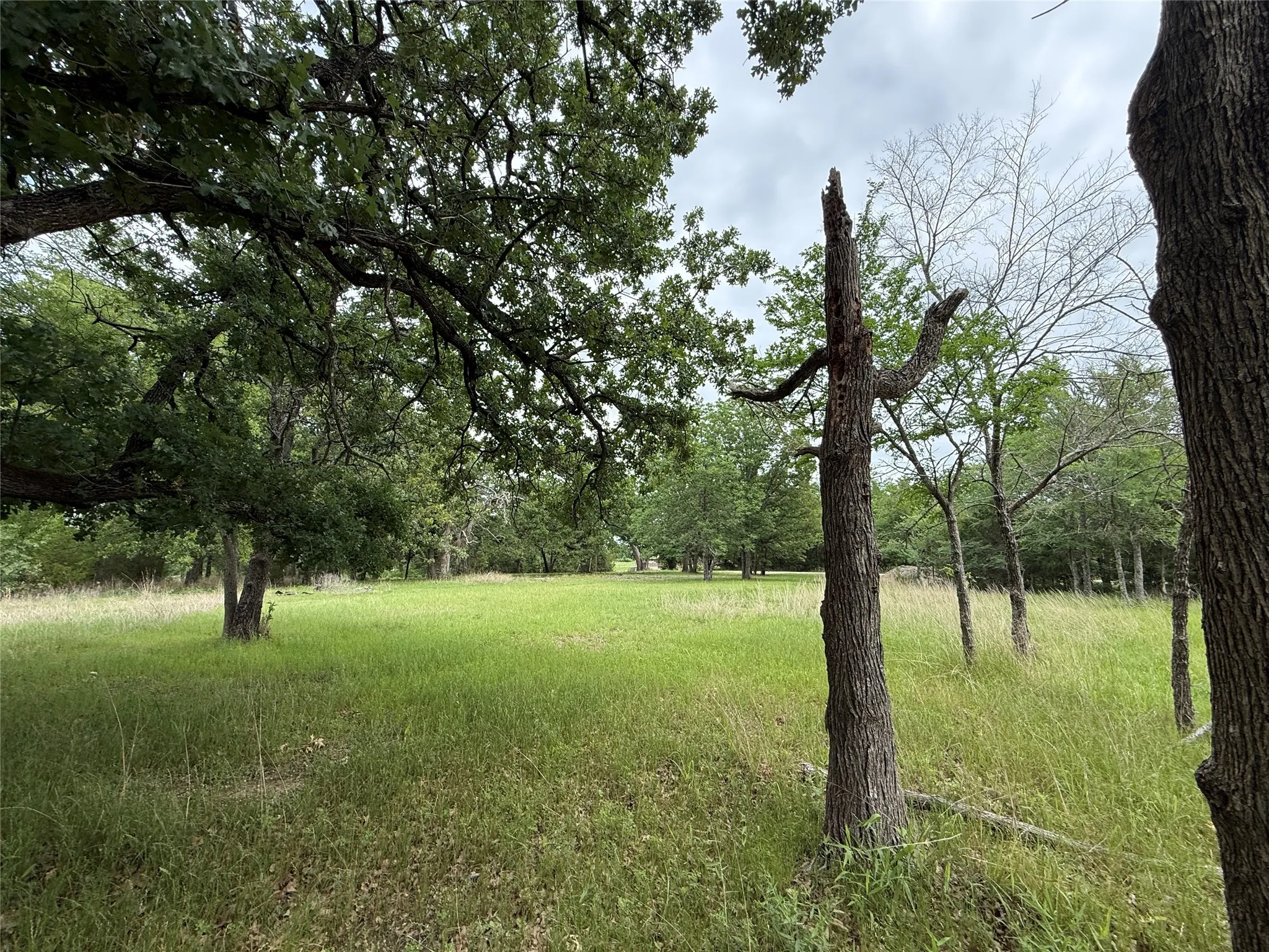 Unimproved Land For Sale in Freestone County , Lot 112 April Cove, Streetman, Texas 75859, 0, 0, Garage spaces, 0 Sqft, built in 0, Price $30,000, mls#21250127, Real Estate Agent in Streetman, Homes For Sale in Freestone county, Homes For Sale in Streetman, Realtor in Streetman Texas, Real Estate Brokerage Independent Realty Texas, Luminita Cordes Realtor