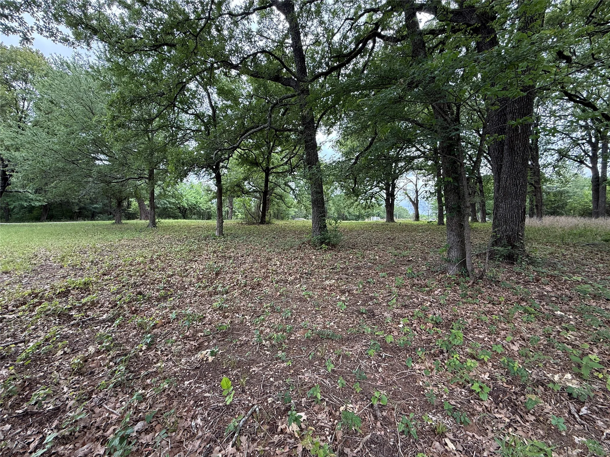 Unimproved Land For Sale in Freestone County , Lot 112 April Cove, Streetman, Texas 75859, 0, 0, Garage spaces, 0 Sqft, built in 0, Price $30,000, mls#21250127, Real Estate Agent in Streetman, Homes For Sale in Freestone county, Homes For Sale in Streetman, Realtor in Streetman Texas, Real Estate Brokerage Independent Realty Texas, Luminita Cordes Realtor