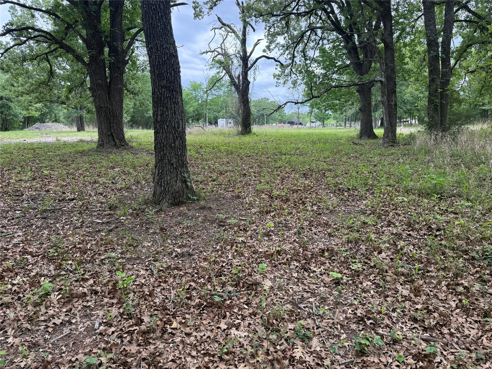 Unimproved Land For Sale in Freestone County , Lot 112 April Cove, Streetman, Texas 75859, 0, 0, Garage spaces, 0 Sqft, built in 0, Price $30,000, mls#21250127, Real Estate Agent in Streetman, Homes For Sale in Freestone county, Homes For Sale in Streetman, Realtor in Streetman Texas, Real Estate Brokerage Independent Realty Texas, Luminita Cordes Realtor