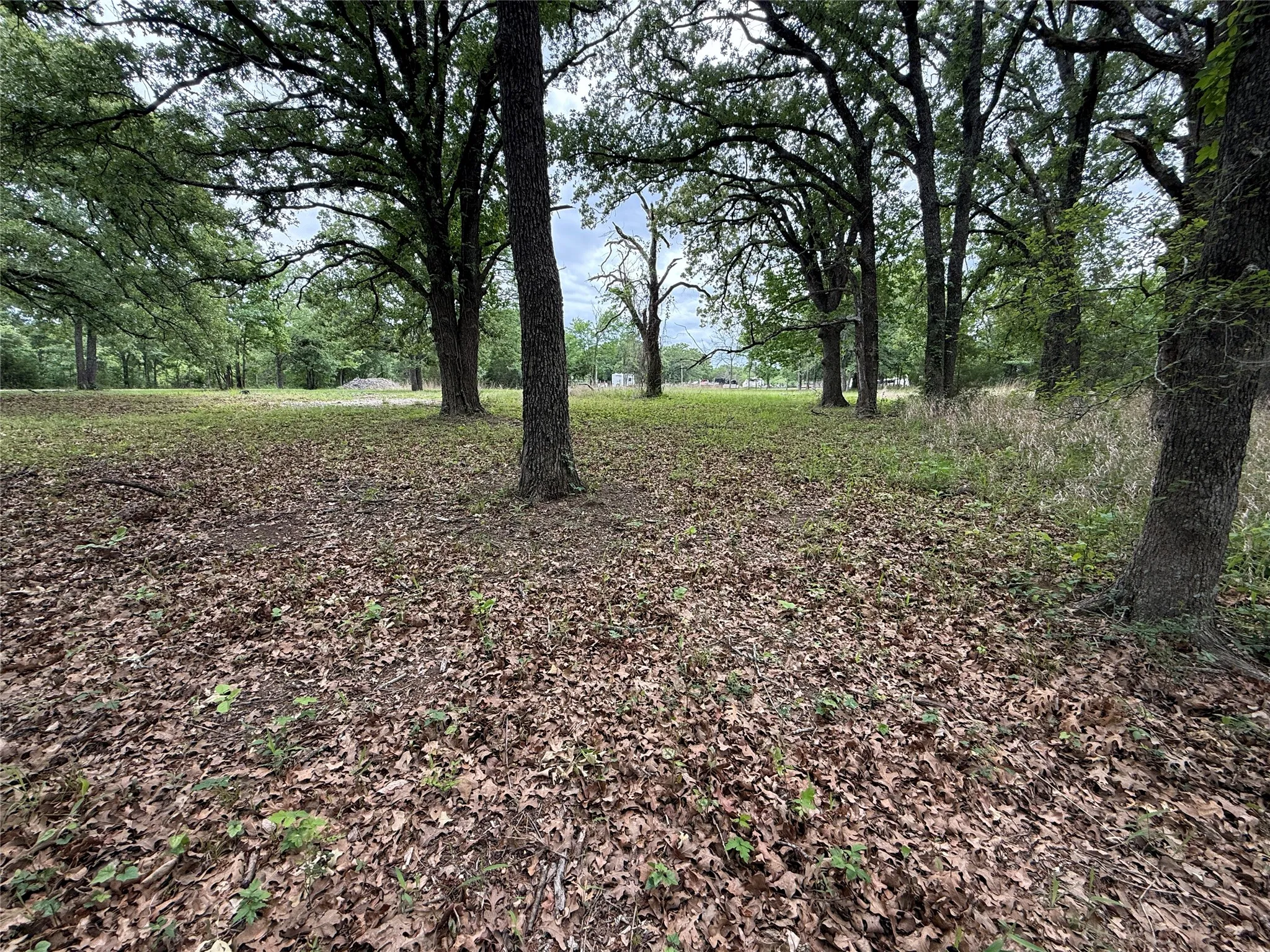 Unimproved Land For Sale in Freestone County , Lot 112 April Cove, Streetman, Texas 75859, 0, 0, Garage spaces, 0 Sqft, built in 0, Price $30,000, mls#21250127, Real Estate Agent in Streetman, Homes For Sale in Freestone county, Homes For Sale in Streetman, Realtor in Streetman Texas, Real Estate Brokerage Independent Realty Texas, Luminita Cordes Realtor