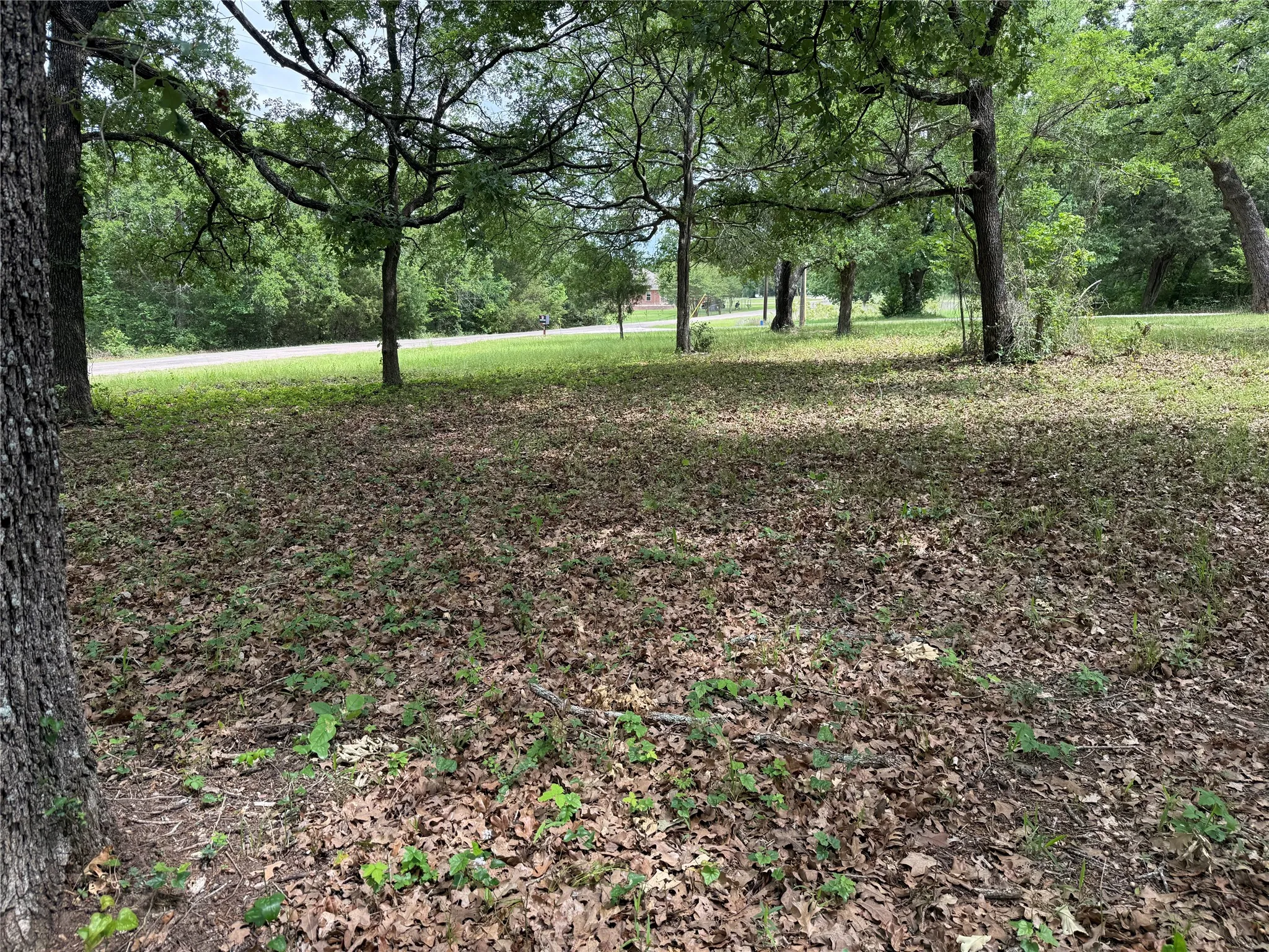 Unimproved Land For Sale in Freestone County , Lot 112 April Cove, Streetman, Texas 75859, 0, 0, Garage spaces, 0 Sqft, built in 0, Price $30,000, mls#21250127, Real Estate Agent in Streetman, Homes For Sale in Freestone county, Homes For Sale in Streetman, Realtor in Streetman Texas, Real Estate Brokerage Independent Realty Texas, Luminita Cordes Realtor
