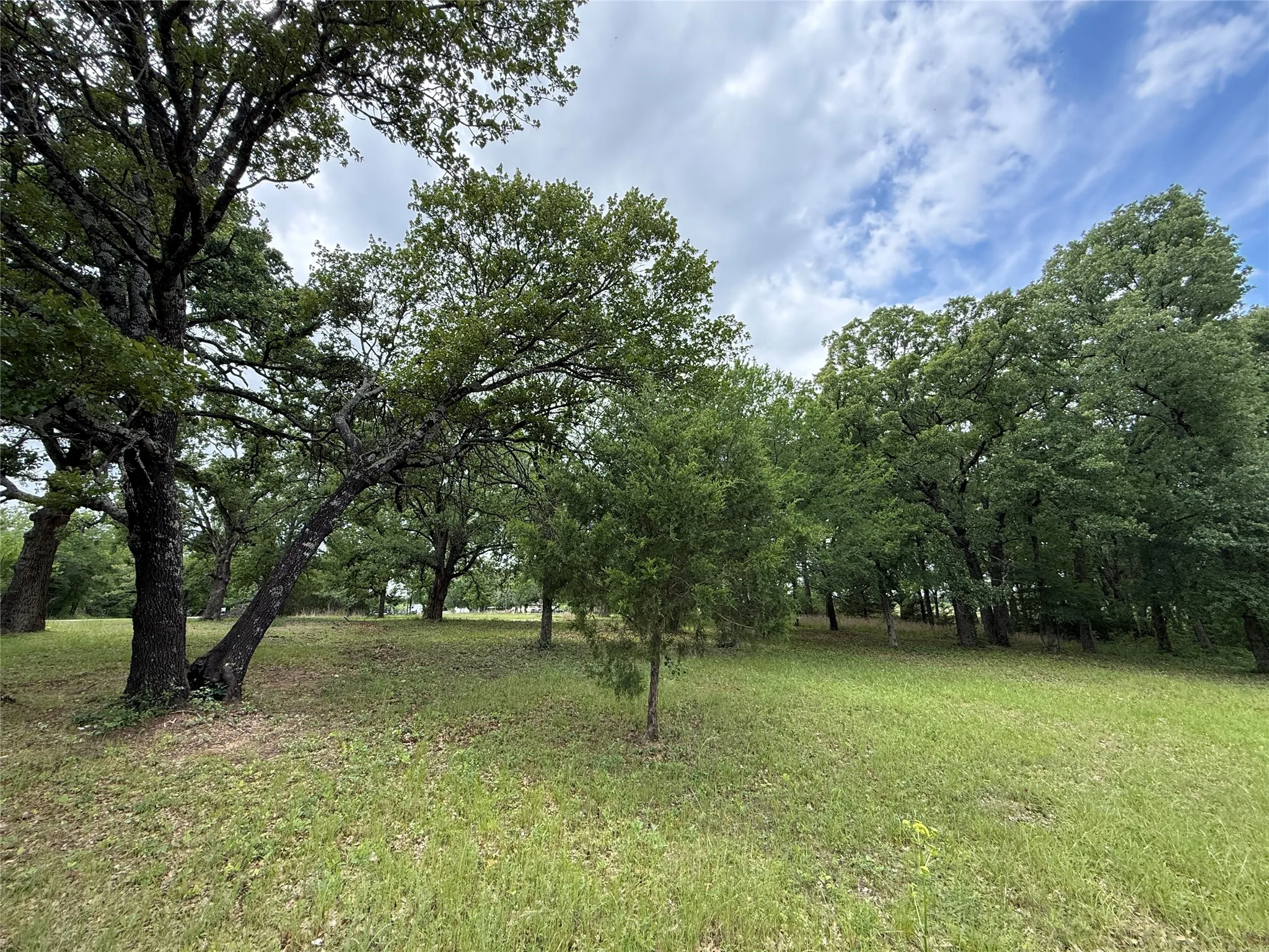 Unimproved Land For Sale in Freestone County , Lot 112 April Cove, Streetman, Texas 75859, 0, 0, Garage spaces, 0 Sqft, built in 0, Price $30,000, mls#21250127, Real Estate Agent in Streetman, Homes For Sale in Freestone county, Homes For Sale in Streetman, Realtor in Streetman Texas, Real Estate Brokerage Independent Realty Texas, Luminita Cordes Realtor