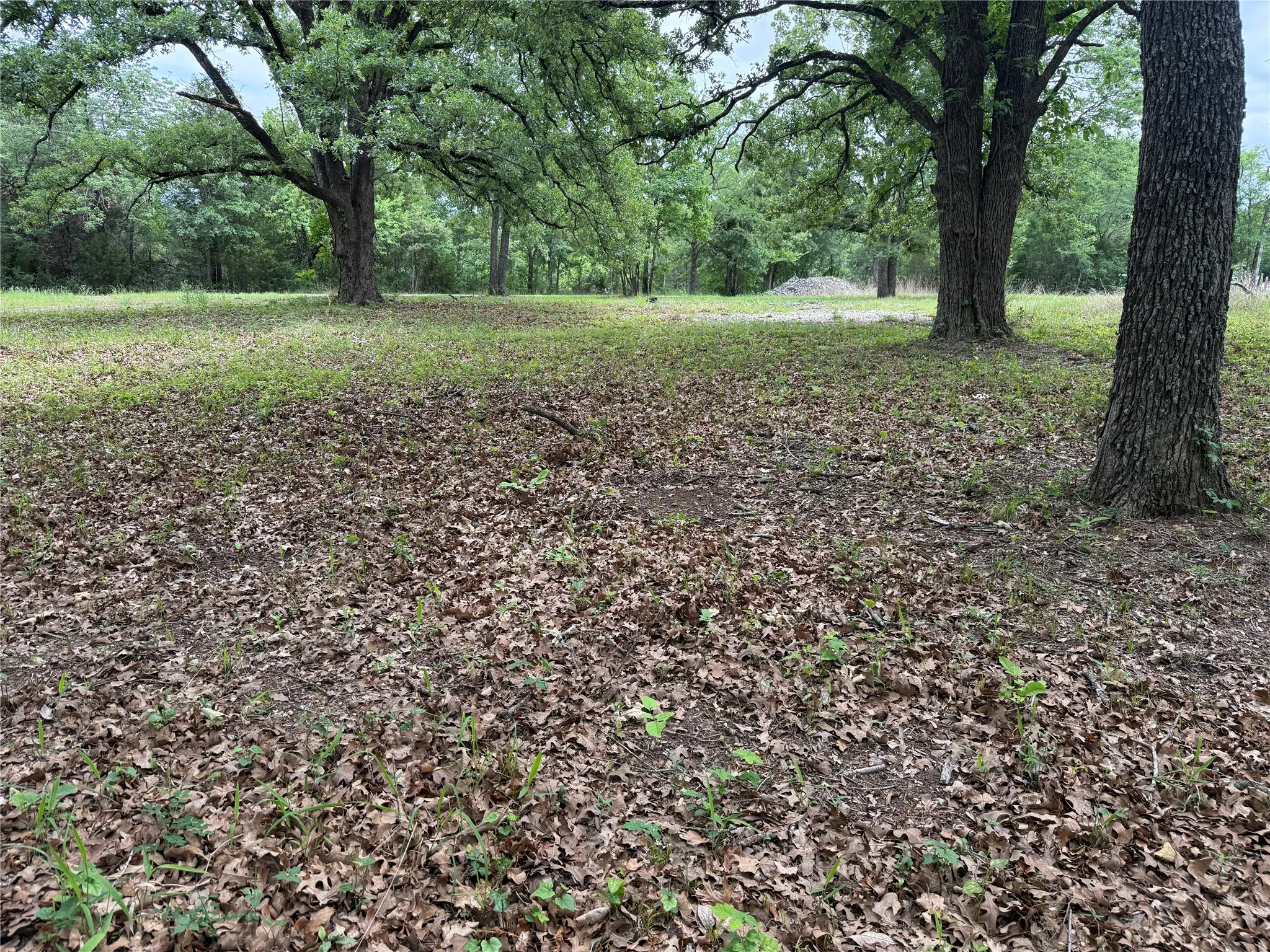 Unimproved Land For Sale in Freestone County , Lot 112 April Cove, Streetman, Texas 75859, 0, 0, Garage spaces, 0 Sqft, built in 0, Price $30,000, mls#21250127, Real Estate Agent in Streetman, Homes For Sale in Freestone county, Homes For Sale in Streetman, Realtor in Streetman Texas, Real Estate Brokerage Independent Realty Texas, Luminita Cordes Realtor