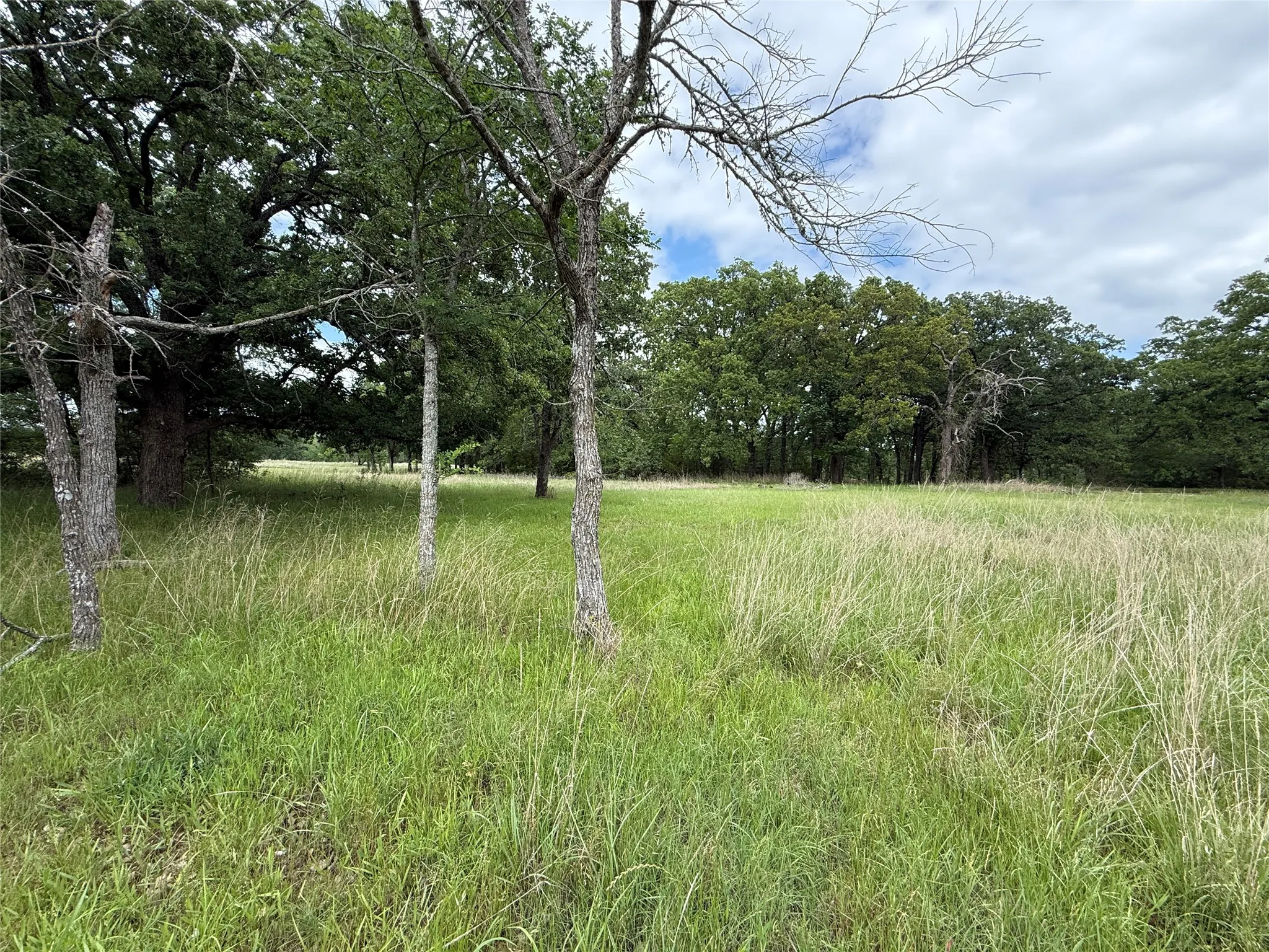 Unimproved Land For Sale in Freestone County , Lot 112 April Cove, Streetman, Texas 75859, 0, 0, Garage spaces, 0 Sqft, built in 0, Price $30,000, mls#21250127, Real Estate Agent in Streetman, Homes For Sale in Freestone county, Homes For Sale in Streetman, Realtor in Streetman Texas, Real Estate Brokerage Independent Realty Texas, Luminita Cordes Realtor