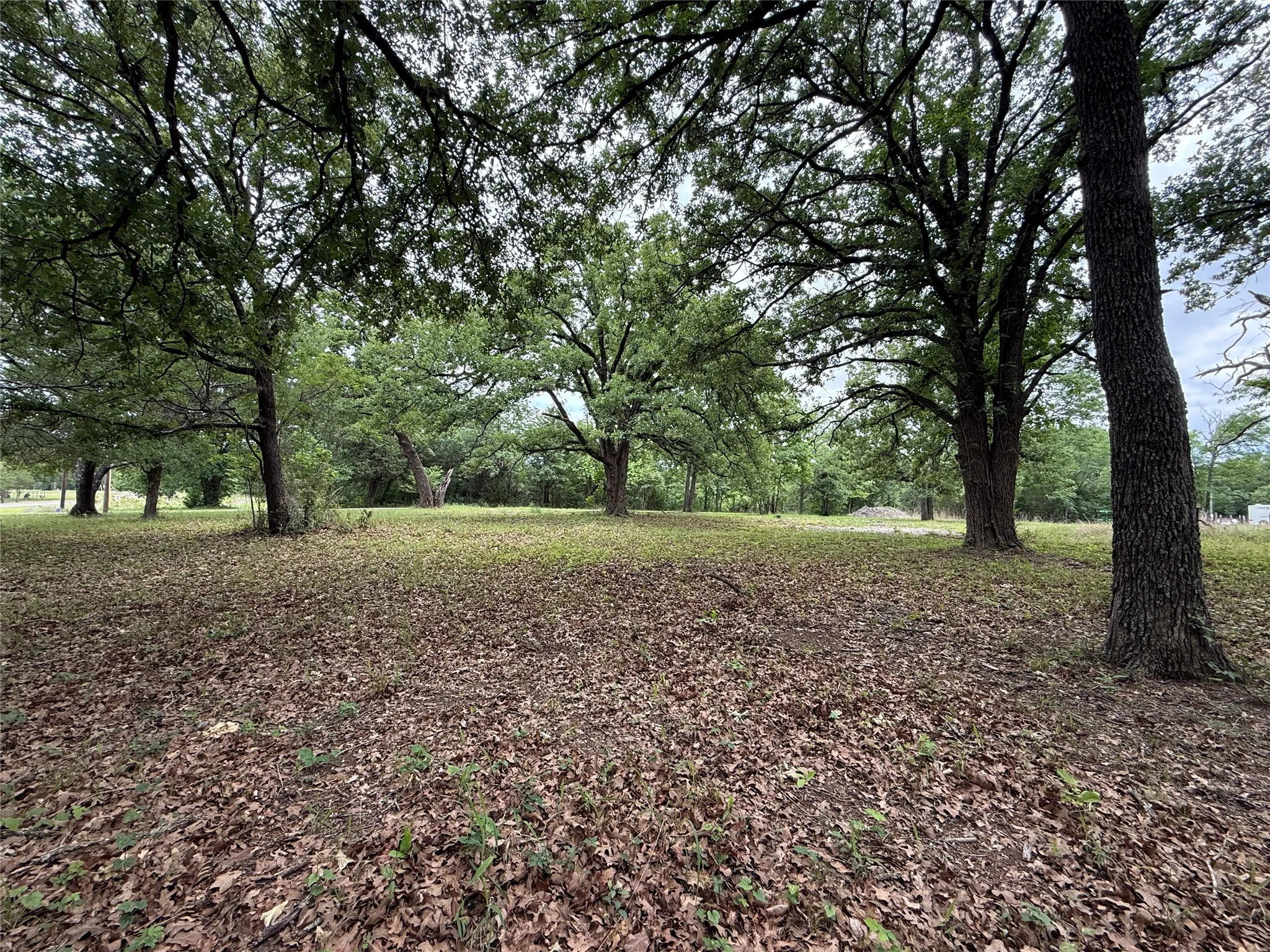 Unimproved Land For Sale in Freestone County , Lot 112 April Cove, Streetman, Texas 75859, 0, 0, Garage spaces, 0 Sqft, built in 0, Price $30,000, mls#21250127, Real Estate Agent in Streetman, Homes For Sale in Freestone county, Homes For Sale in Streetman, Realtor in Streetman Texas, Real Estate Brokerage Independent Realty Texas, Luminita Cordes Realtor