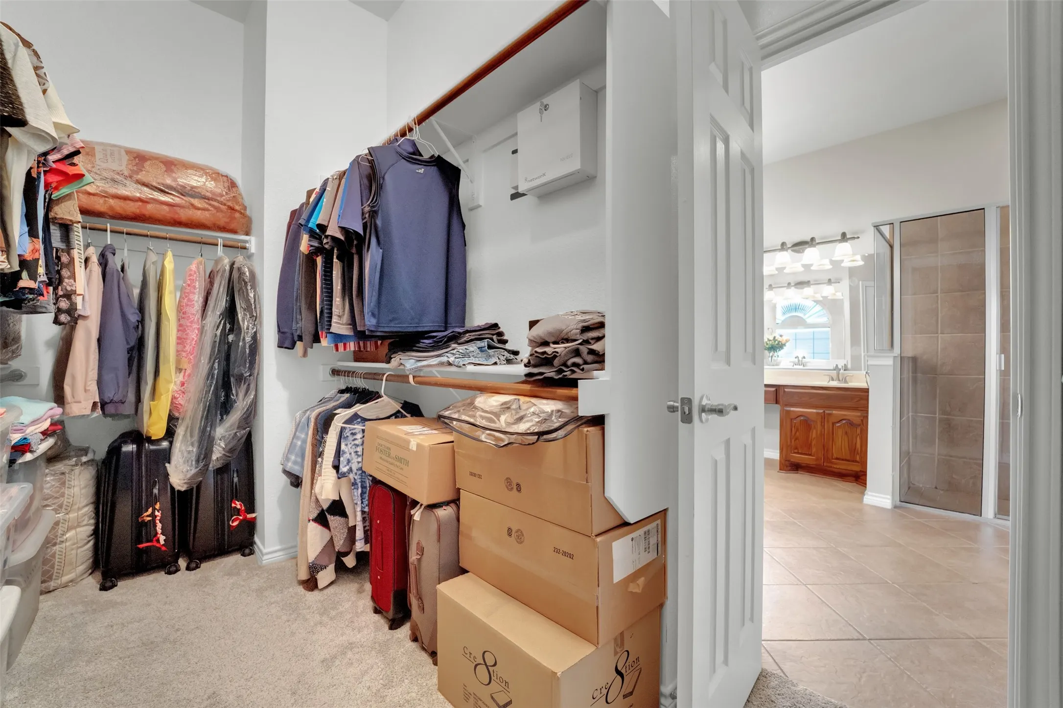 Walk-in closet featuring carpet flooring, multiple hanging rods, and integrated shelving