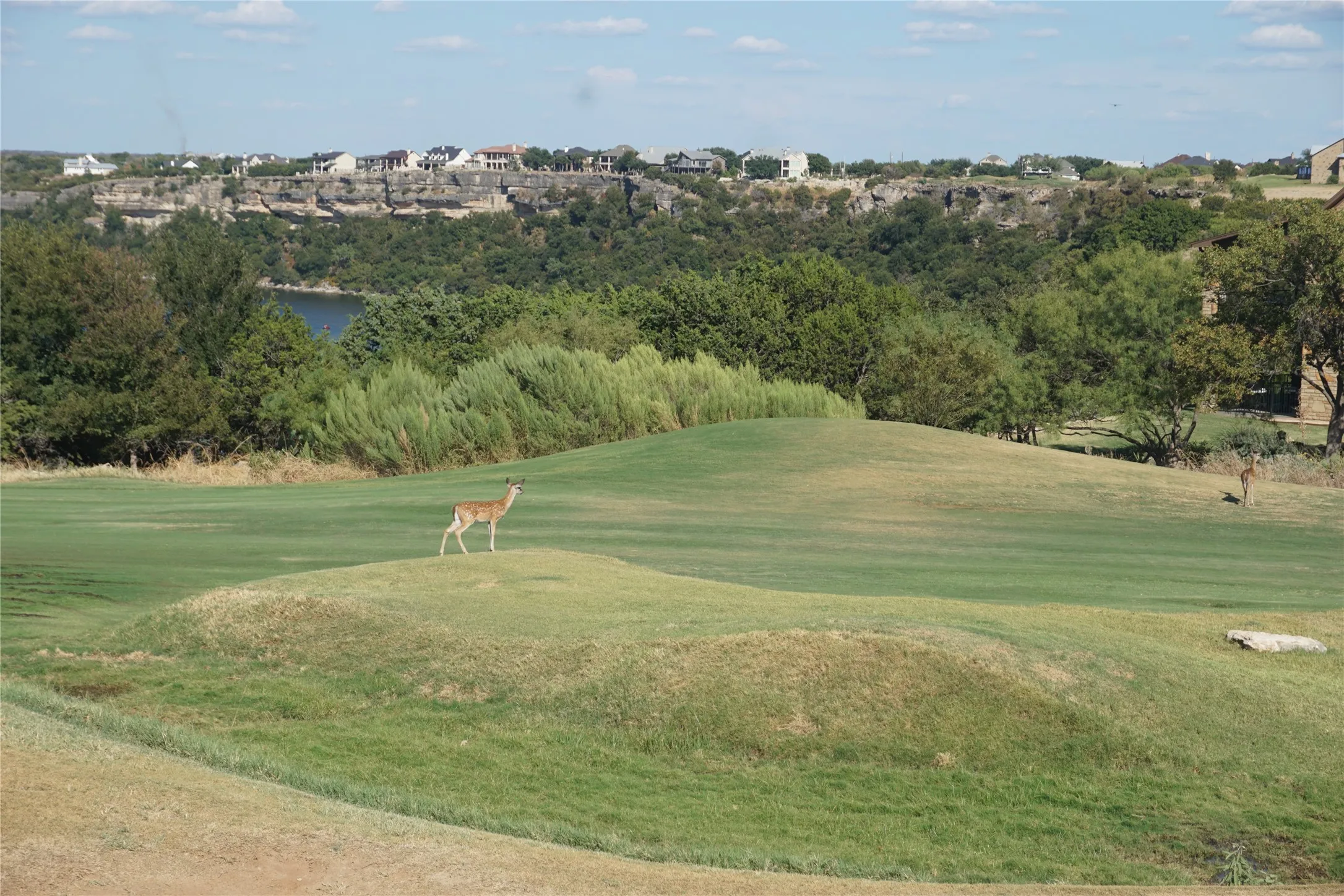 This beautiful home backs up to the #11 Fairway on the prestigious Cliffs Golf Course