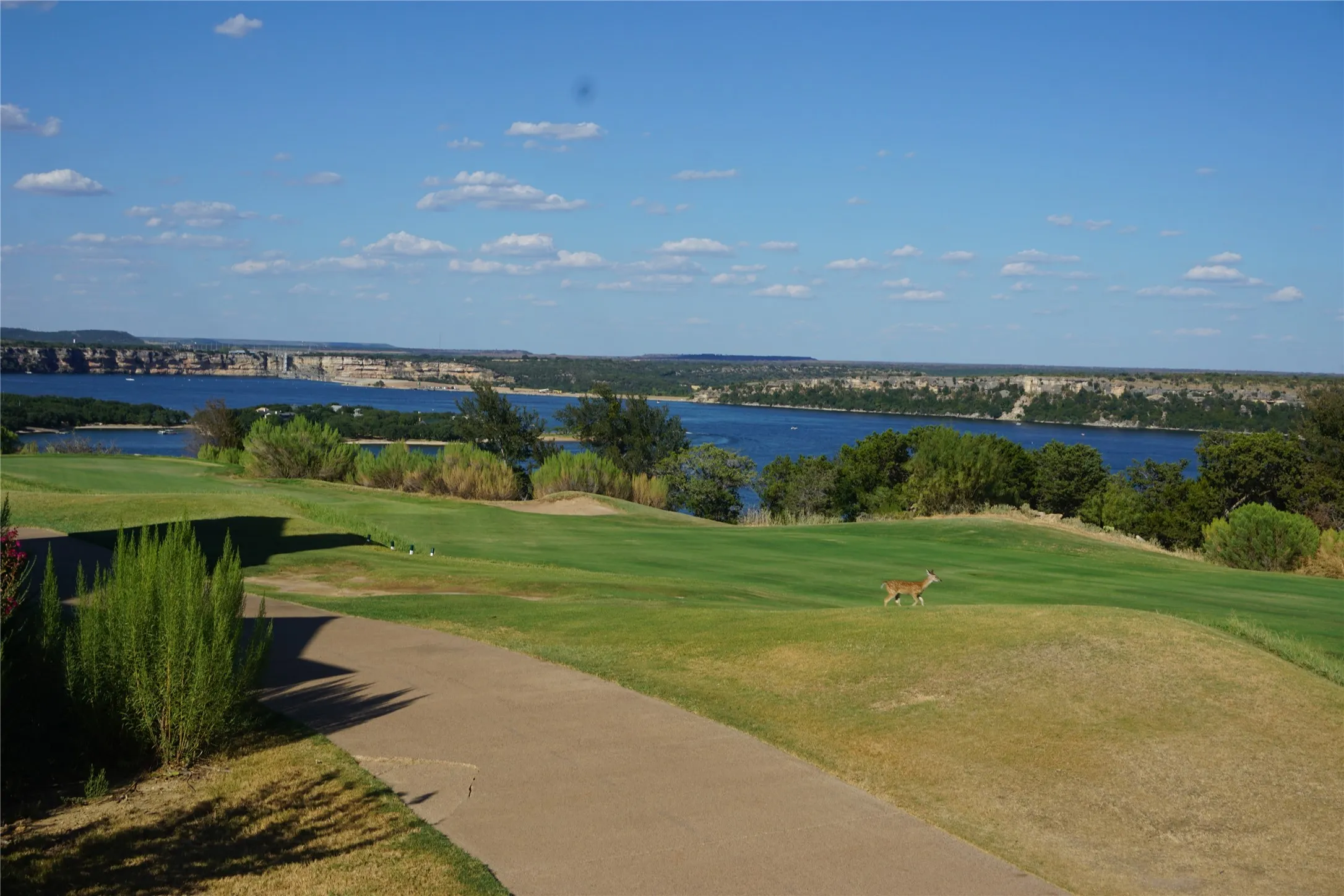 The stunning view you will see from the backyard!  Golf course as well as lake views!