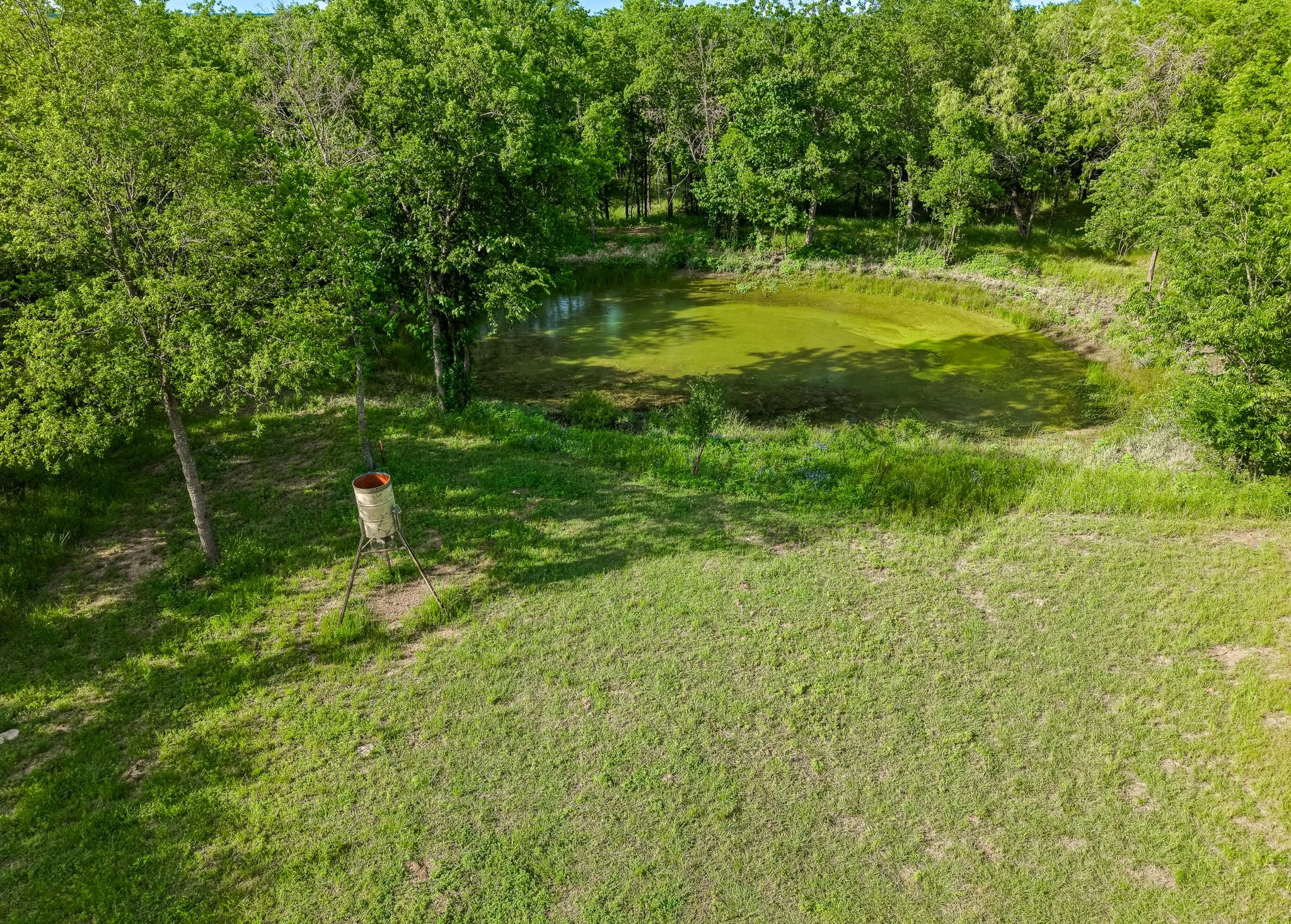 Unimproved Land For Sale in Navarro County , 102 County Road 2344, Richland, Texas 76681, 0, 0, Garage spaces, 0 Sqft, built in 0, mls#21249341, Real Estate Agent in Richland, Homes For Sale in Navarro county, Homes For Sale in Richland, Realtor in Richland Texas, Real Estate Brokerage Independent Realty Texas, Luminita Cordes Realtor