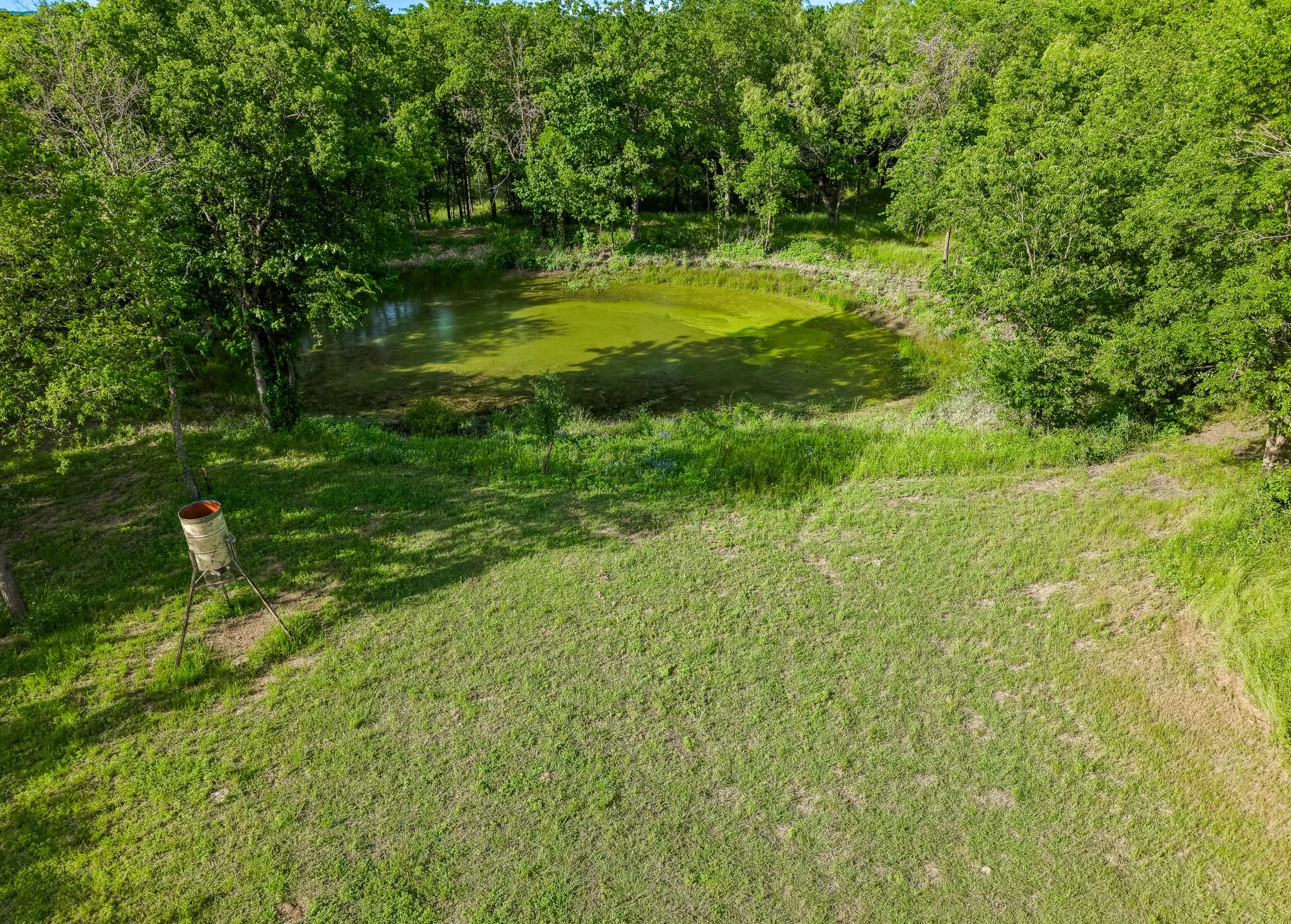 Unimproved Land For Sale in Navarro County , 102 County Road 2344, Richland, Texas 76681, 0, 0, Garage spaces, 0 Sqft, built in 0, mls#21249341, Real Estate Agent in Richland, Homes For Sale in Navarro county, Homes For Sale in Richland, Realtor in Richland Texas, Real Estate Brokerage Independent Realty Texas, Luminita Cordes Realtor